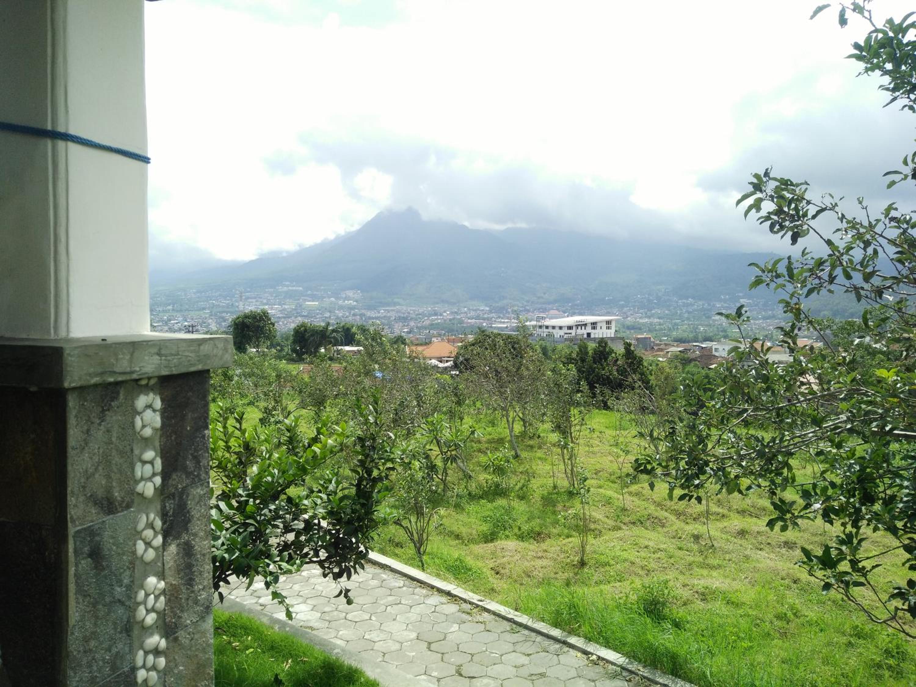 Photo 46