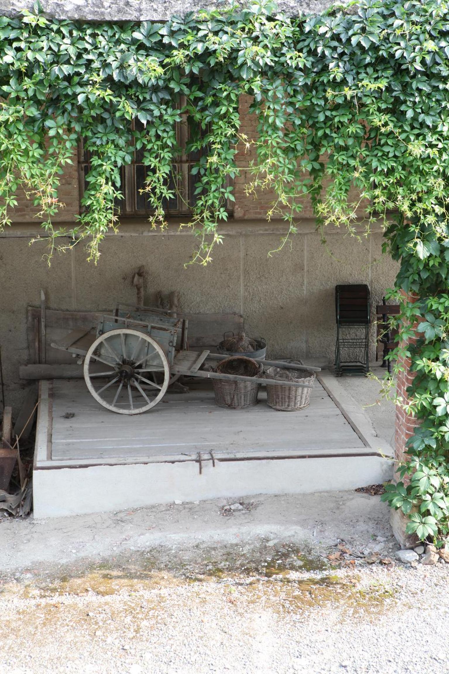 Tenuta Guazzaura