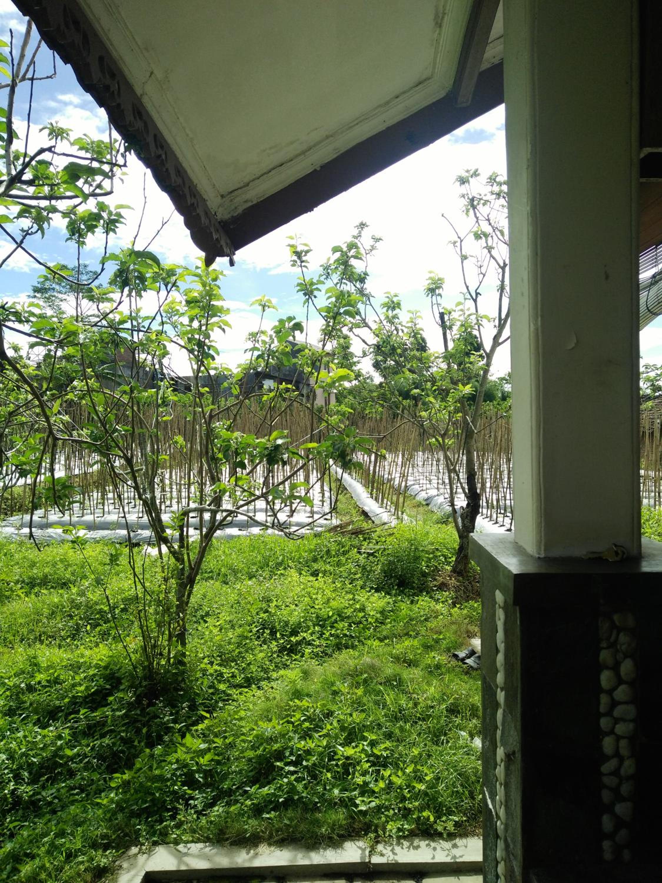 Photo 25
