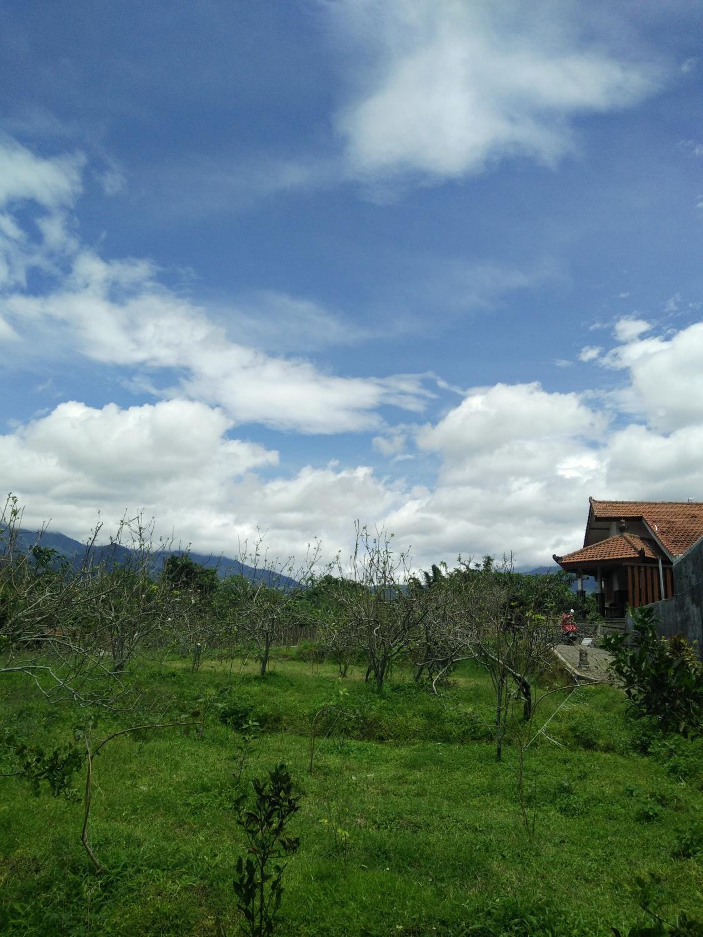 Photo 29