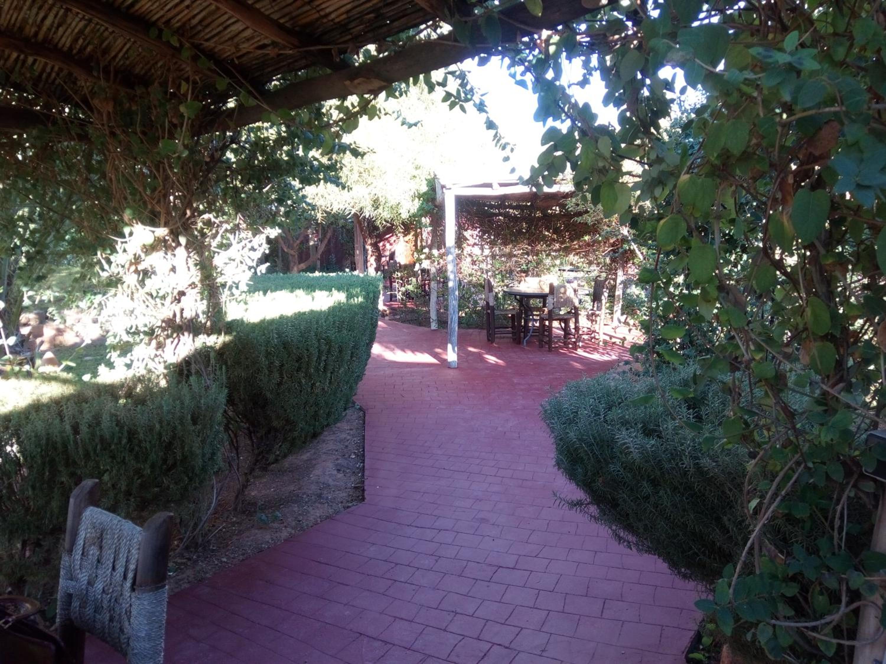 Photo 17