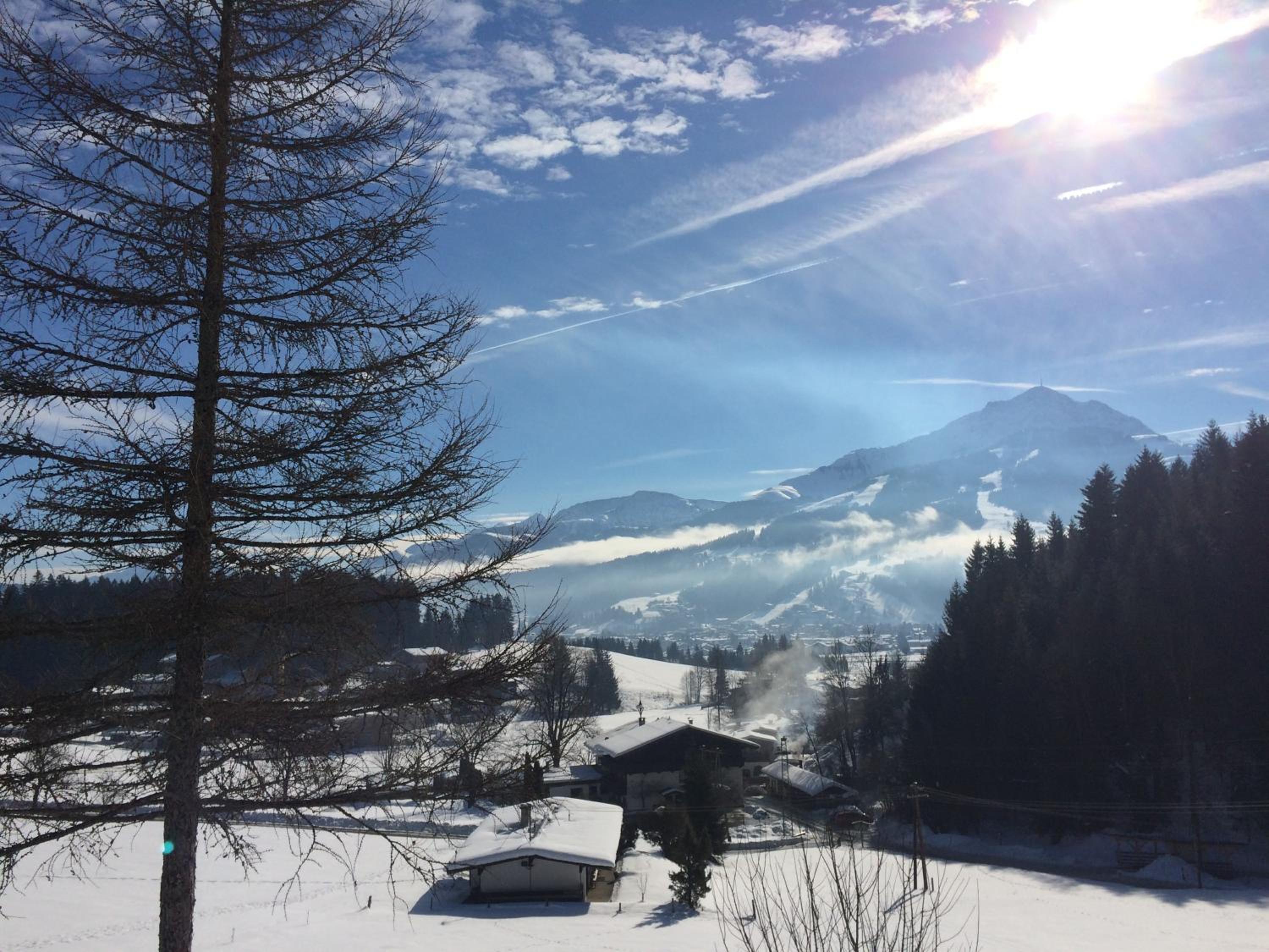 Berghof Haselsberger, photo 93