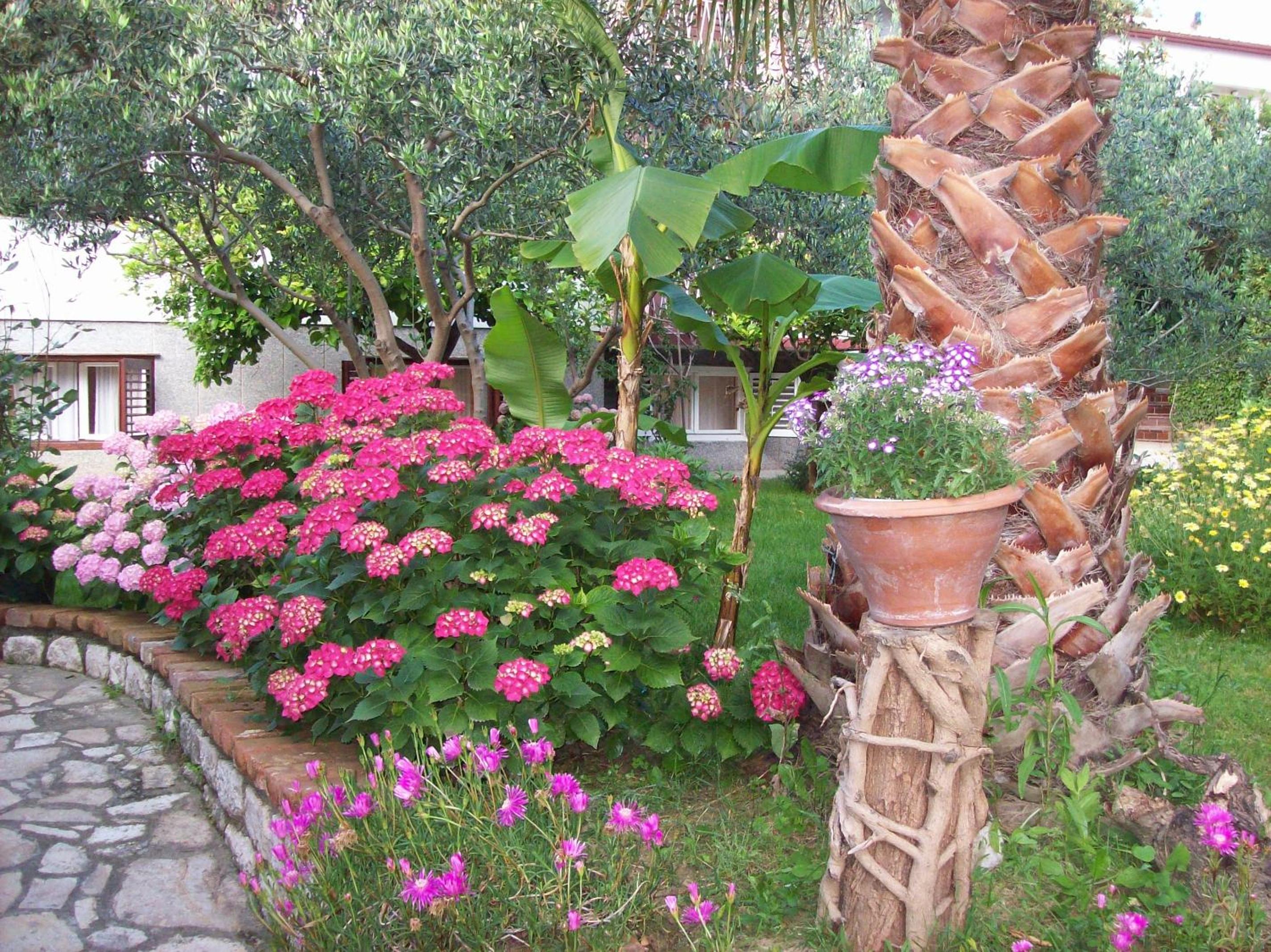 Photo 32