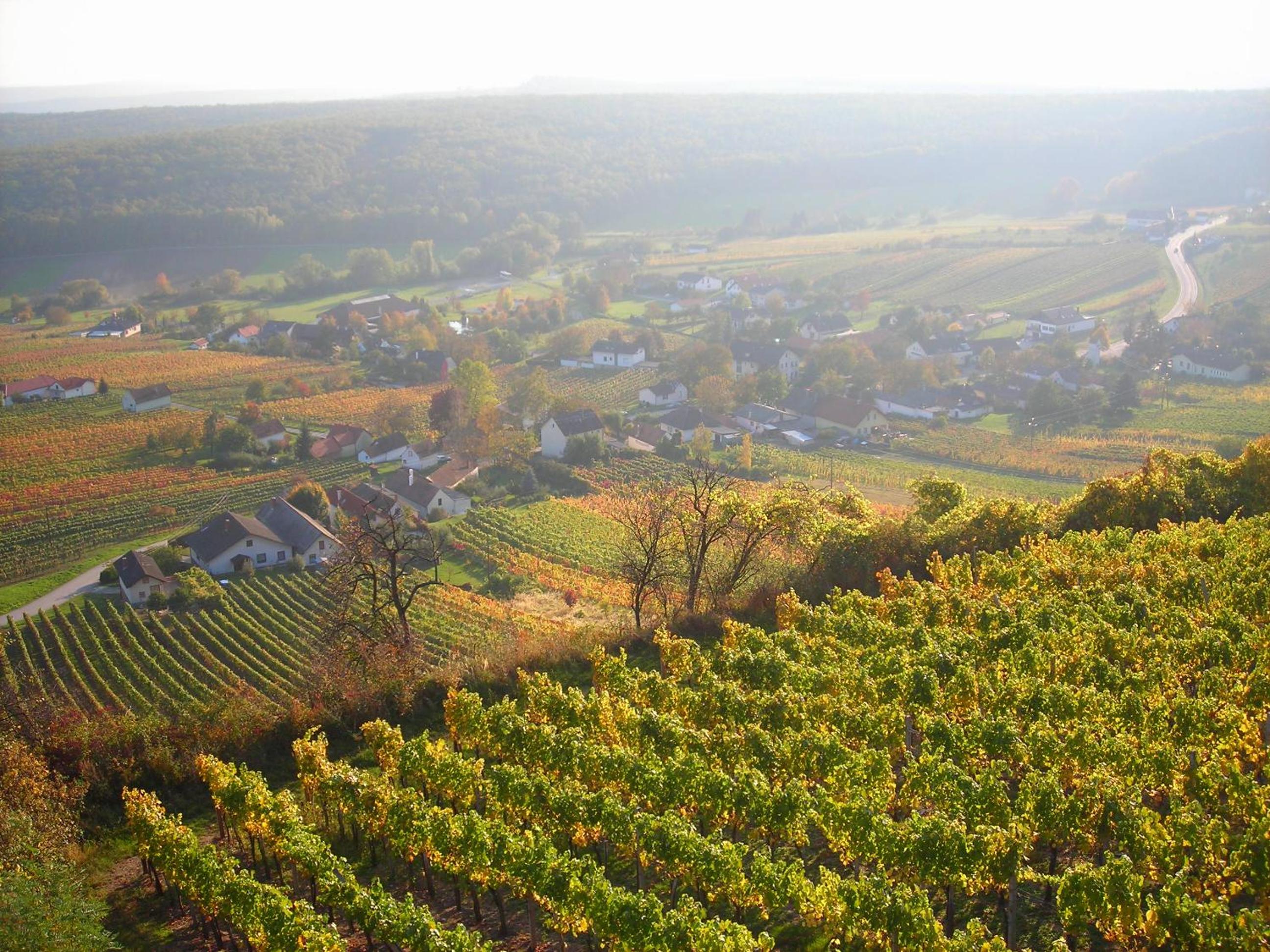 Kellerstöckl Kamper