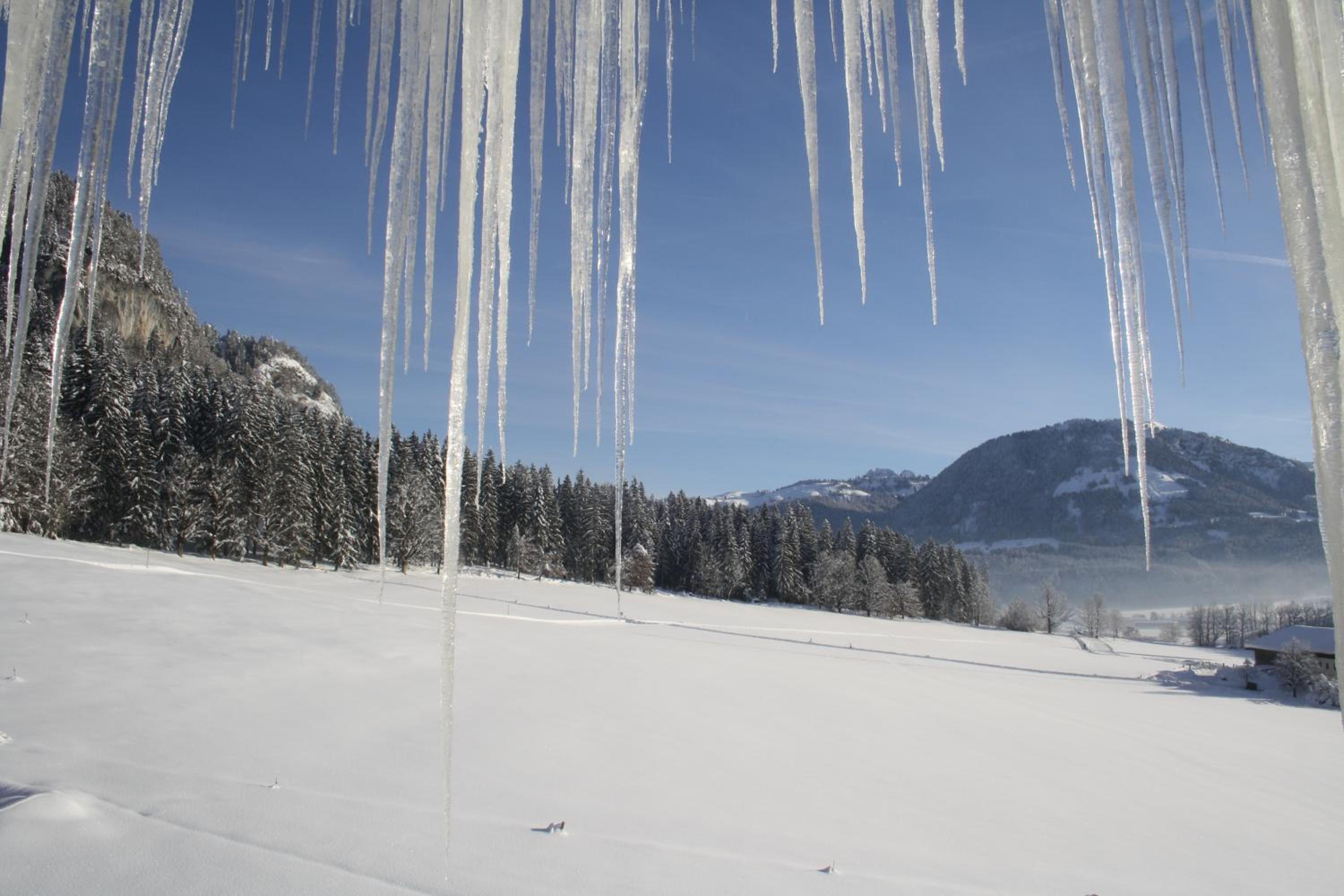 Berghof Haselsberger, photo 23
