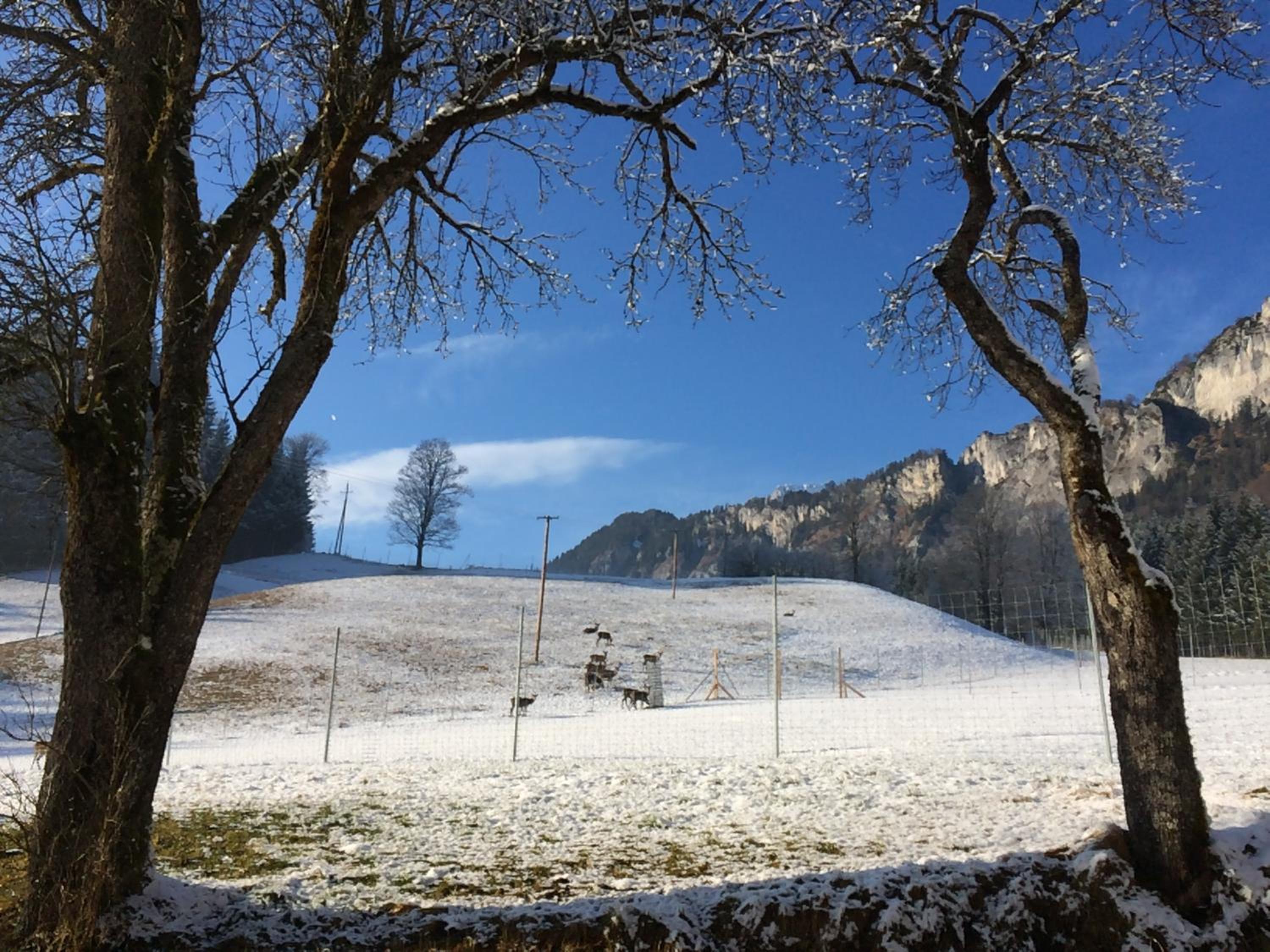Berghof Haselsberger Appartements
