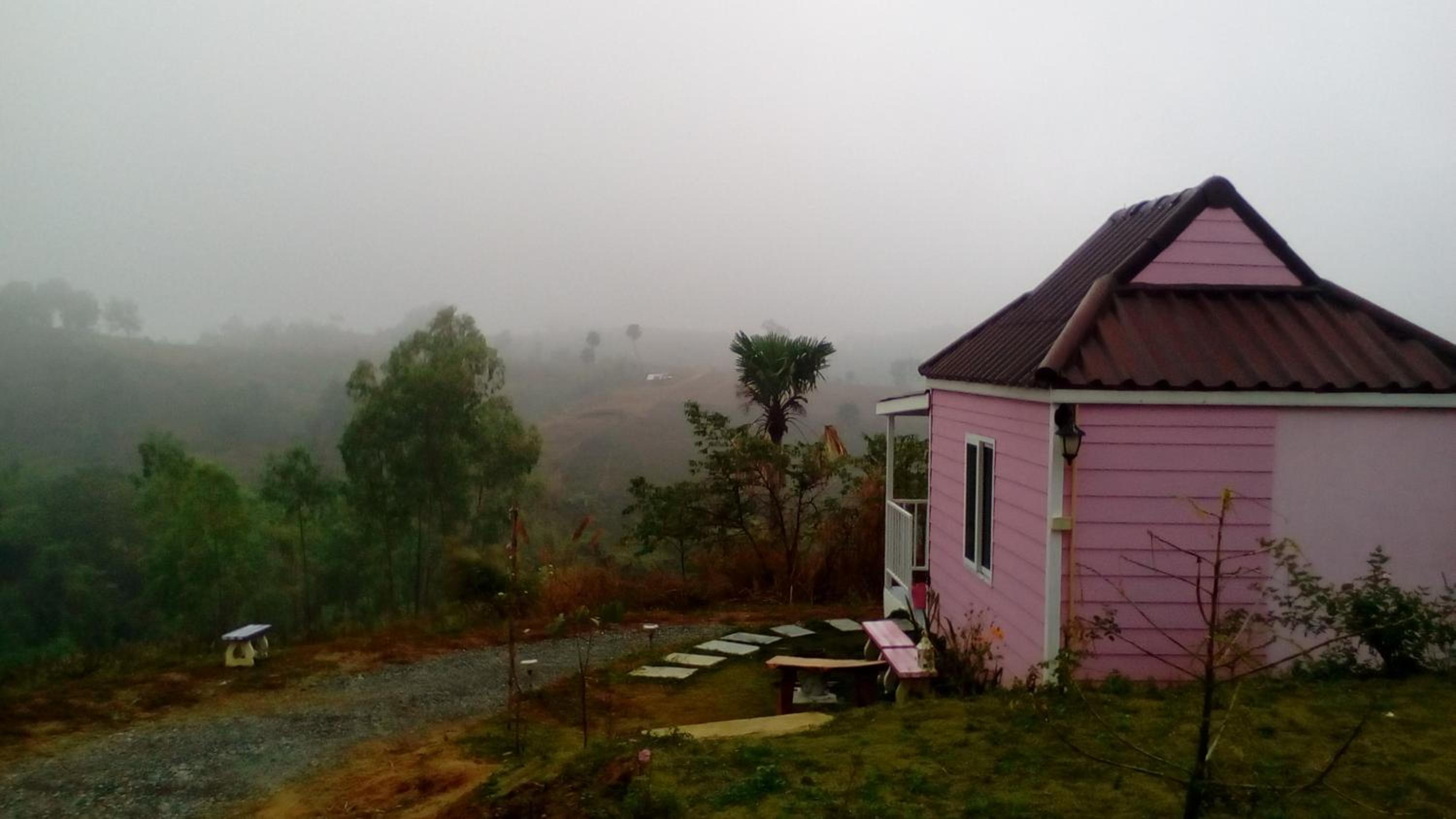 Lovely Farm