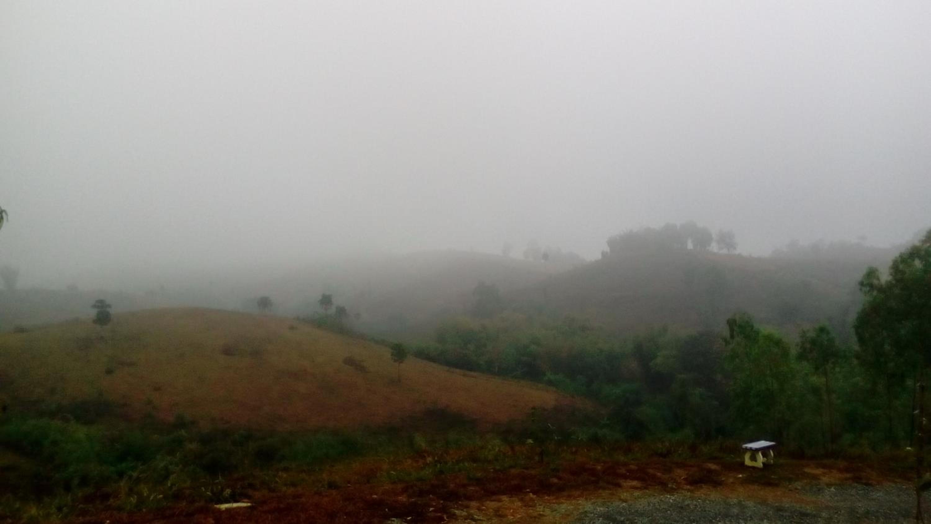 Lovely Farm