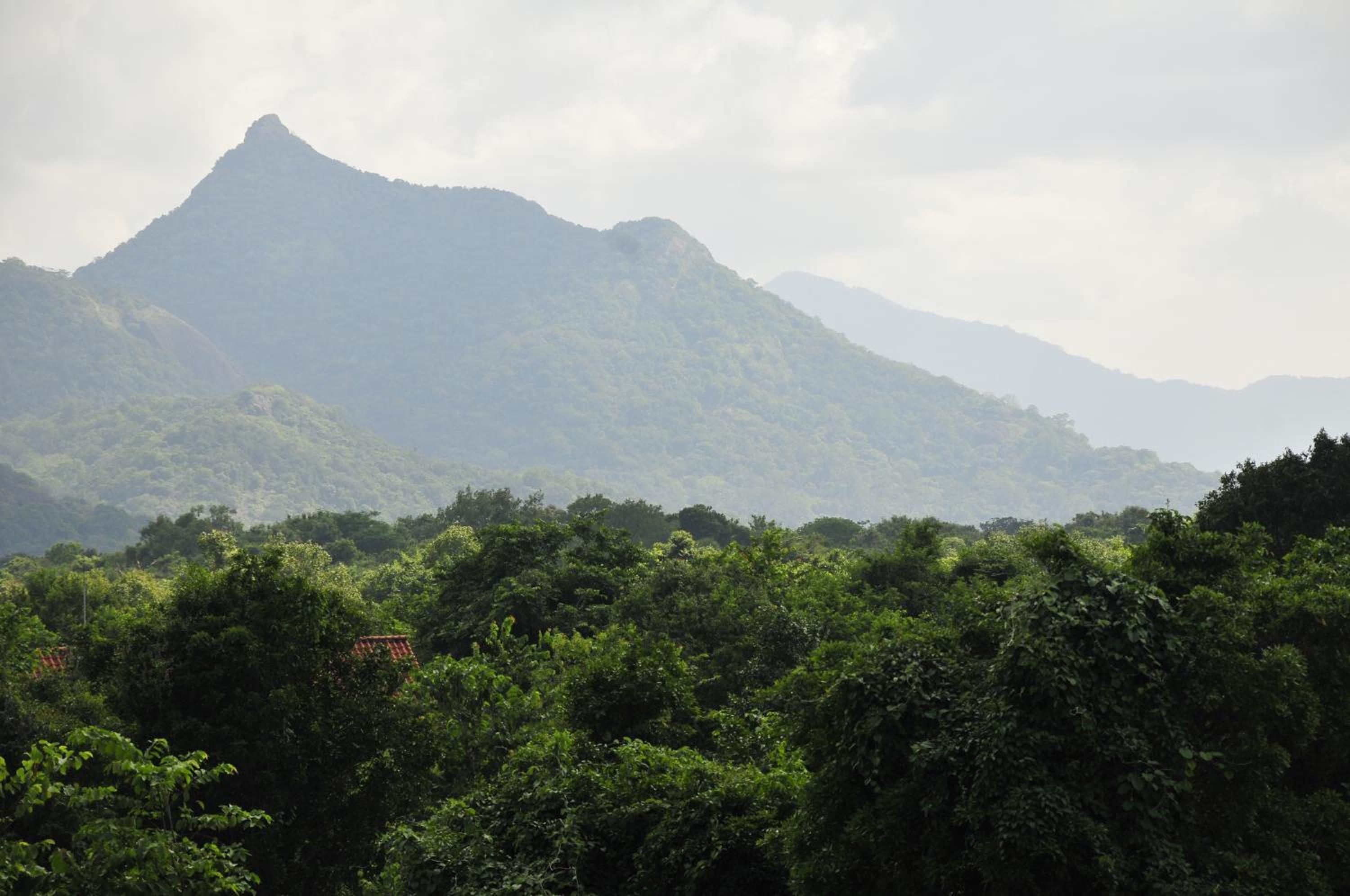 Wild Grass Nature Resort