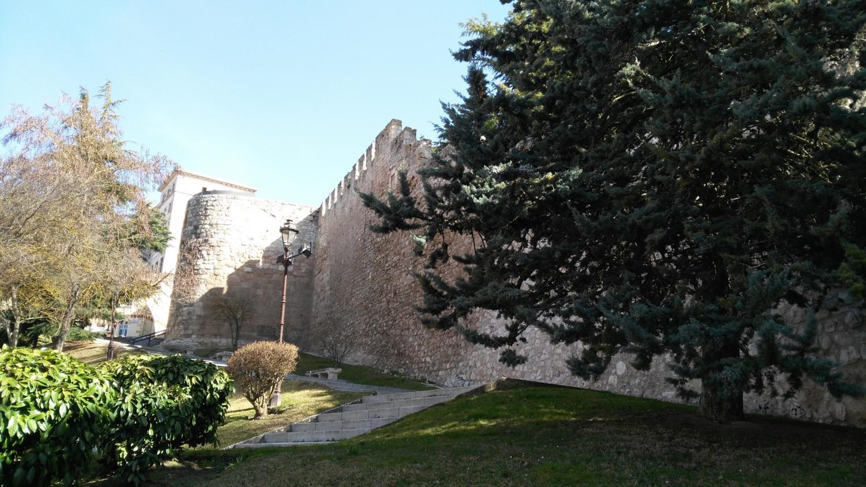 Photo 22