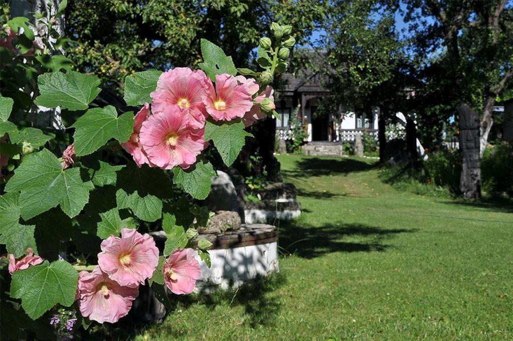 Photo 44