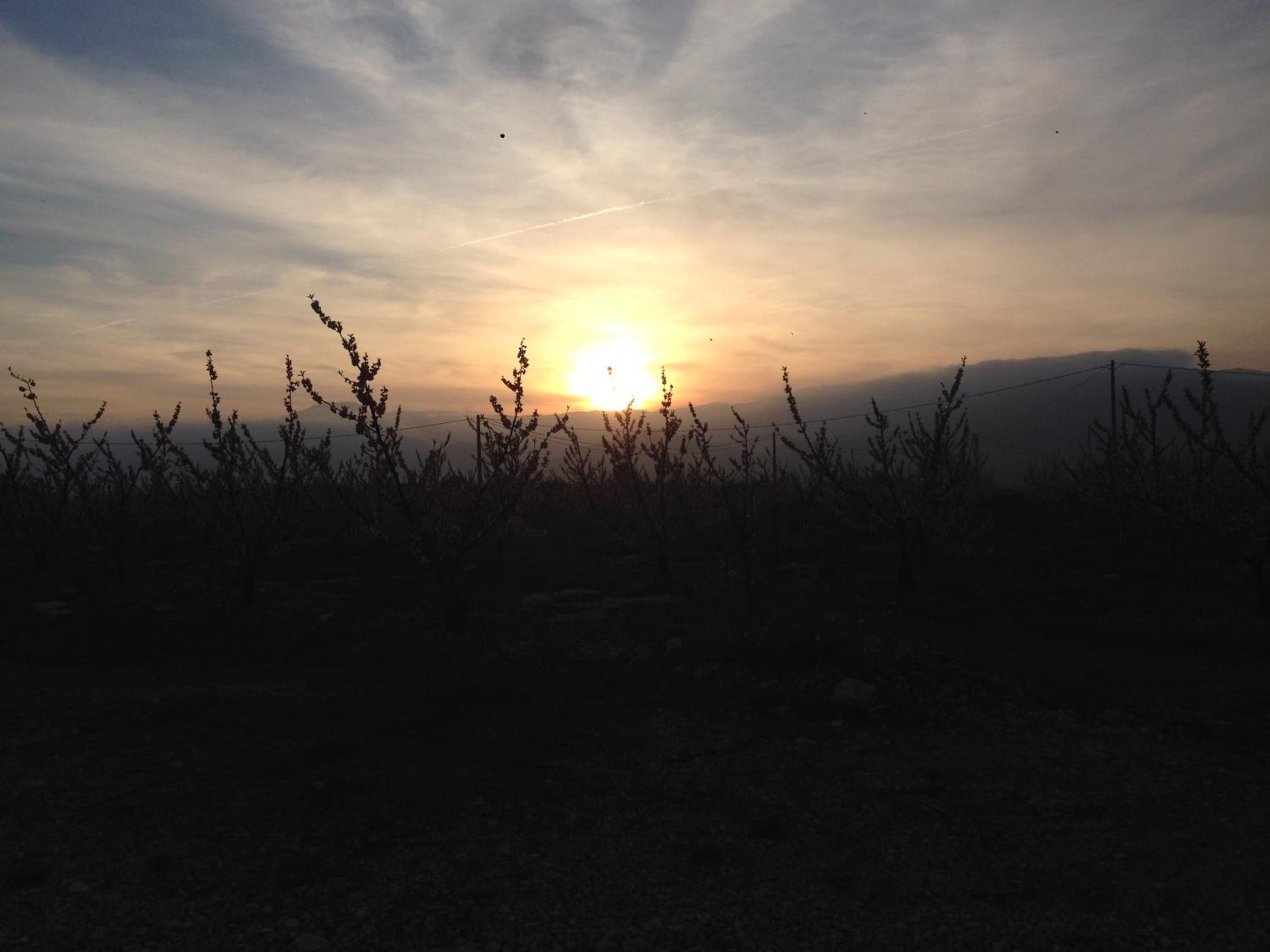 Finca Florecer view 5