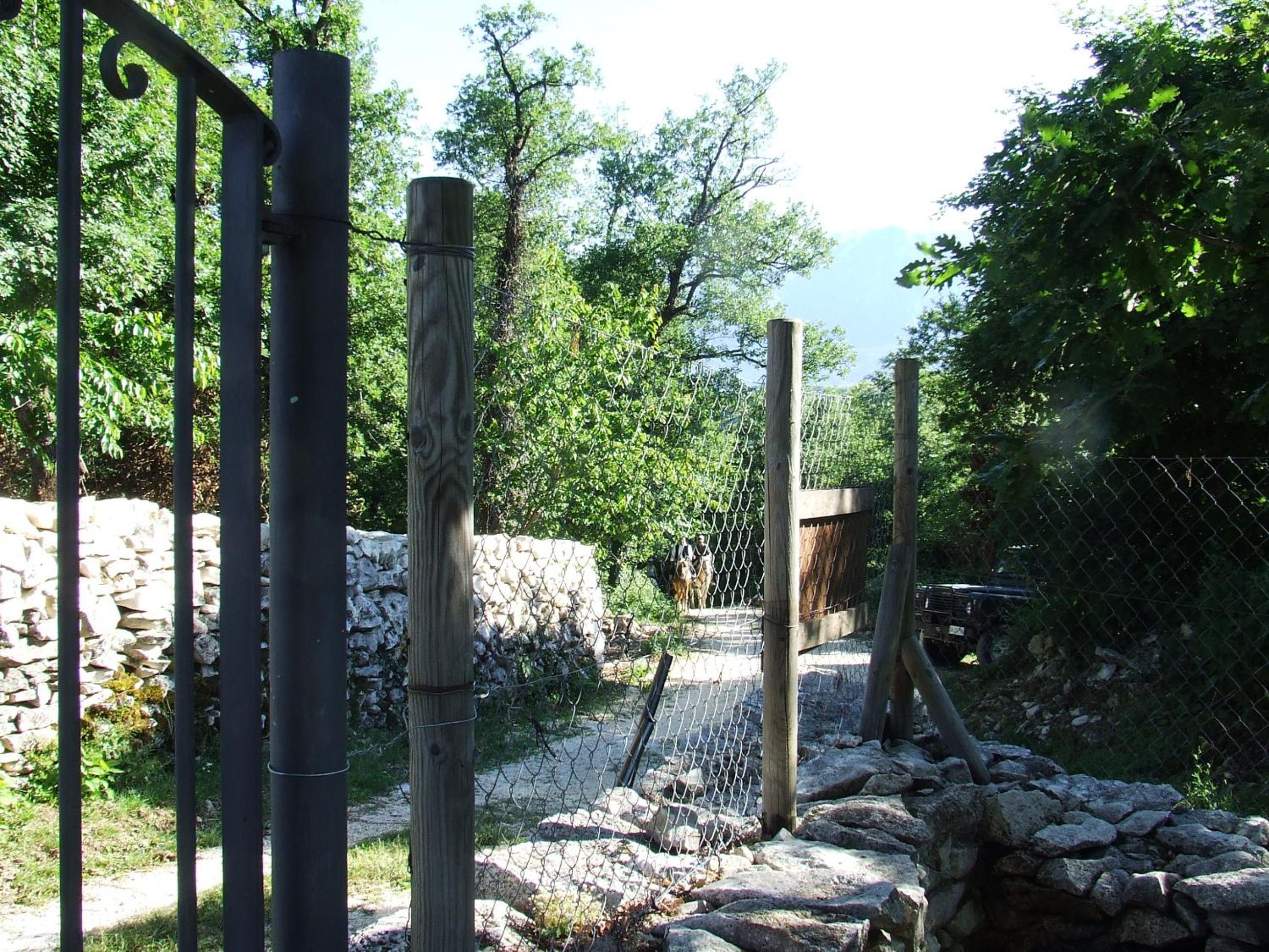 Photo 38