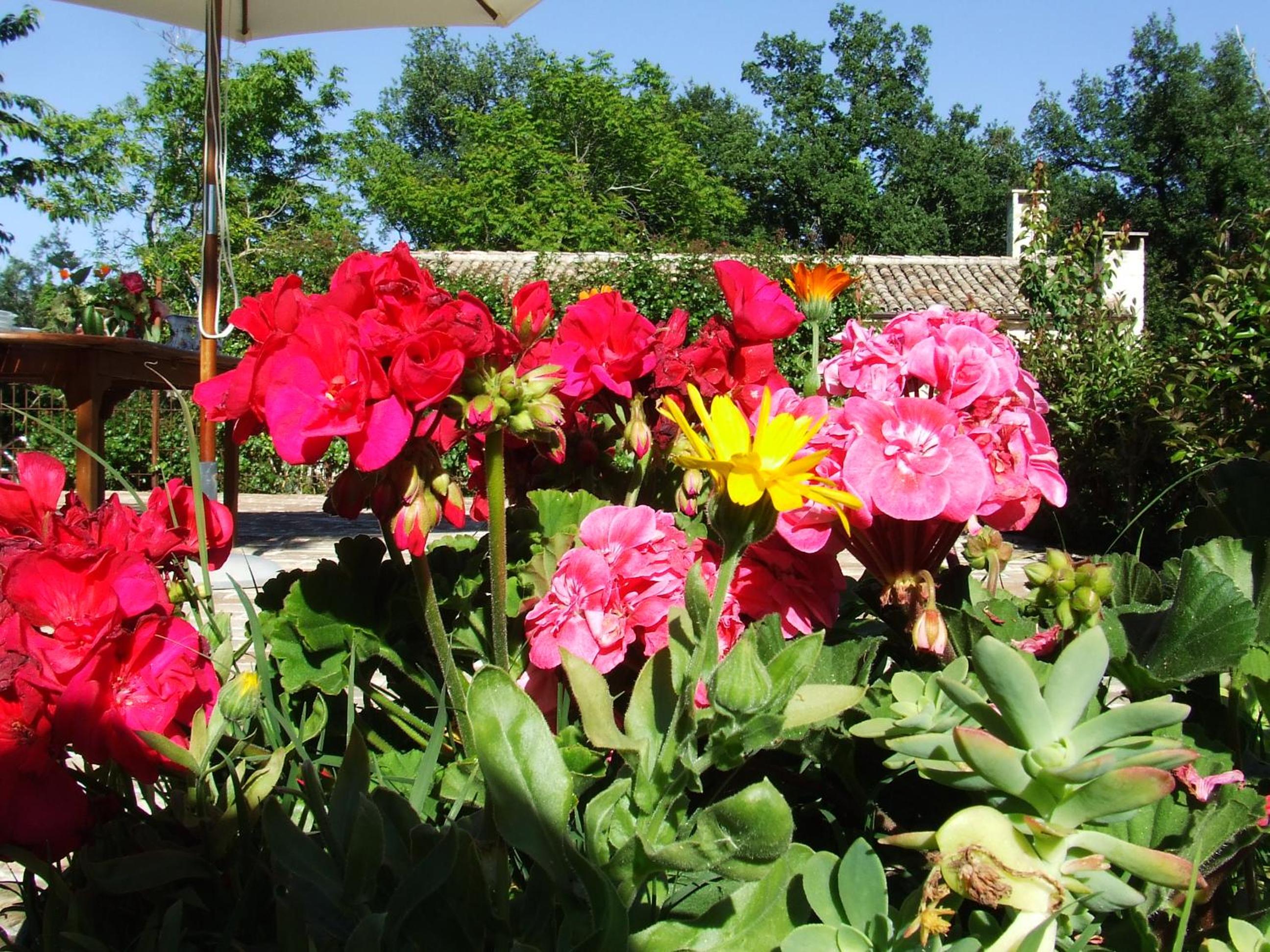 Photo 41