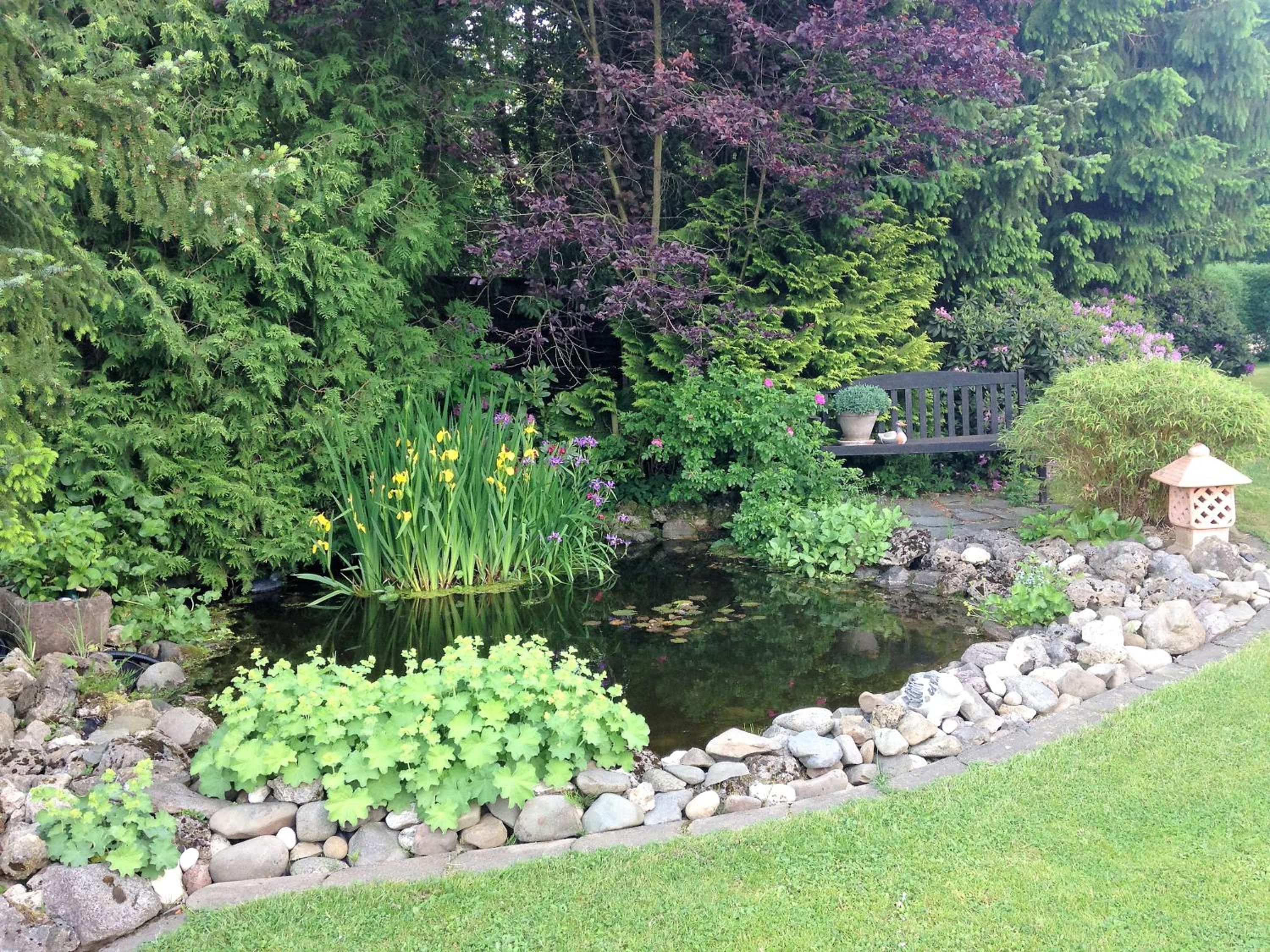 Photo 28