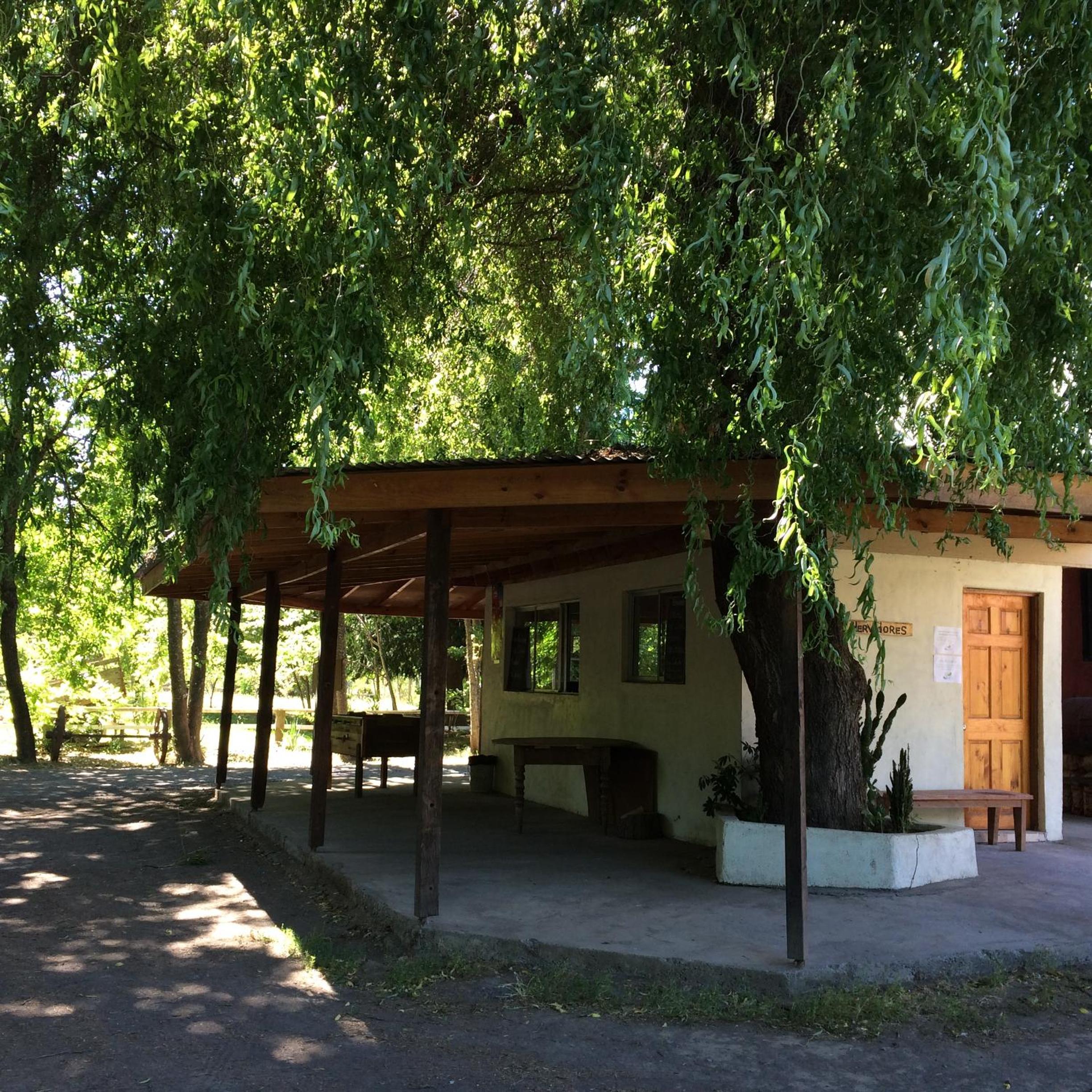 Photo 28