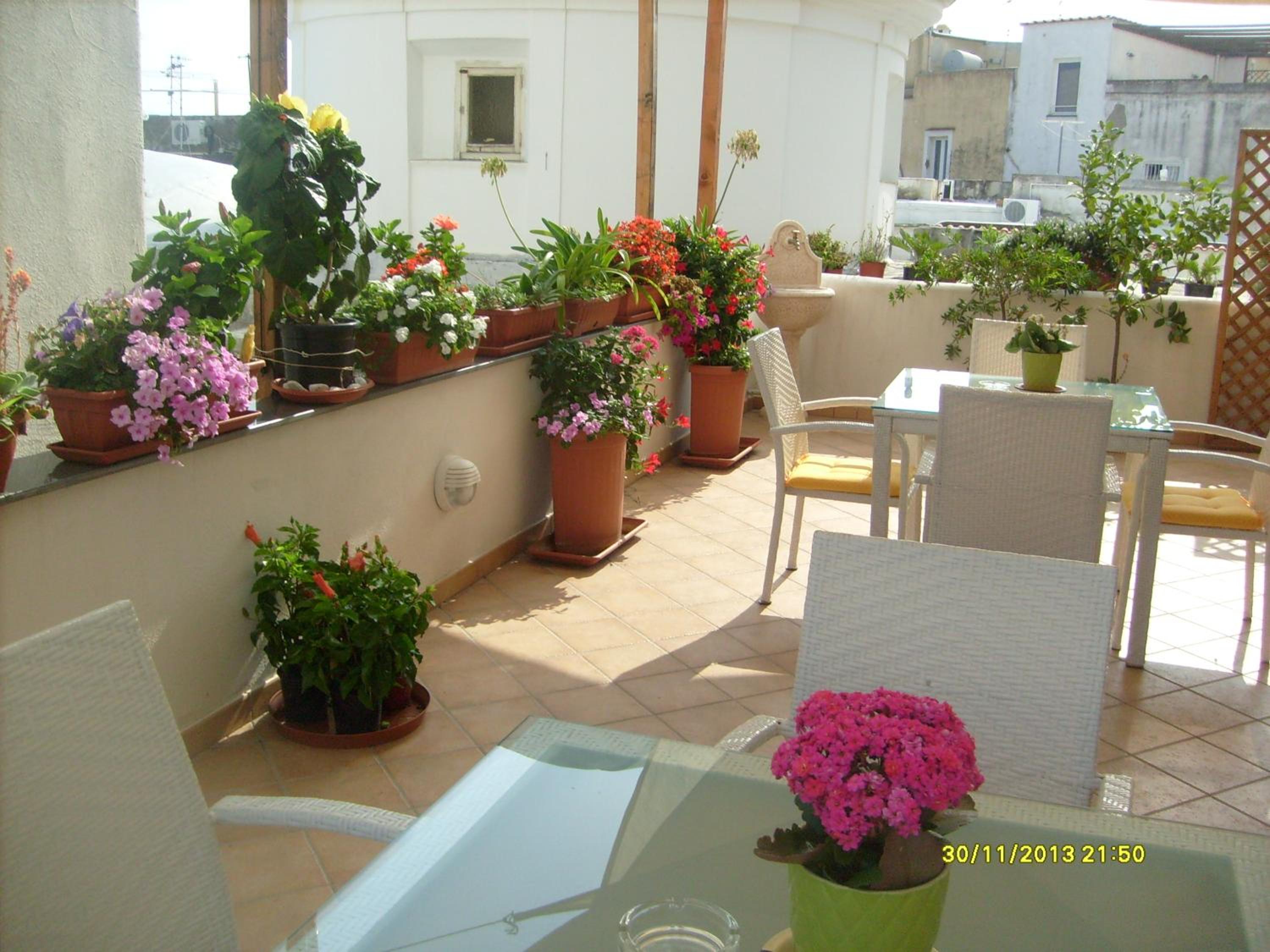 Photo 42