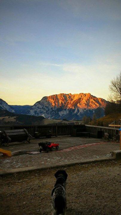 Schirfhof