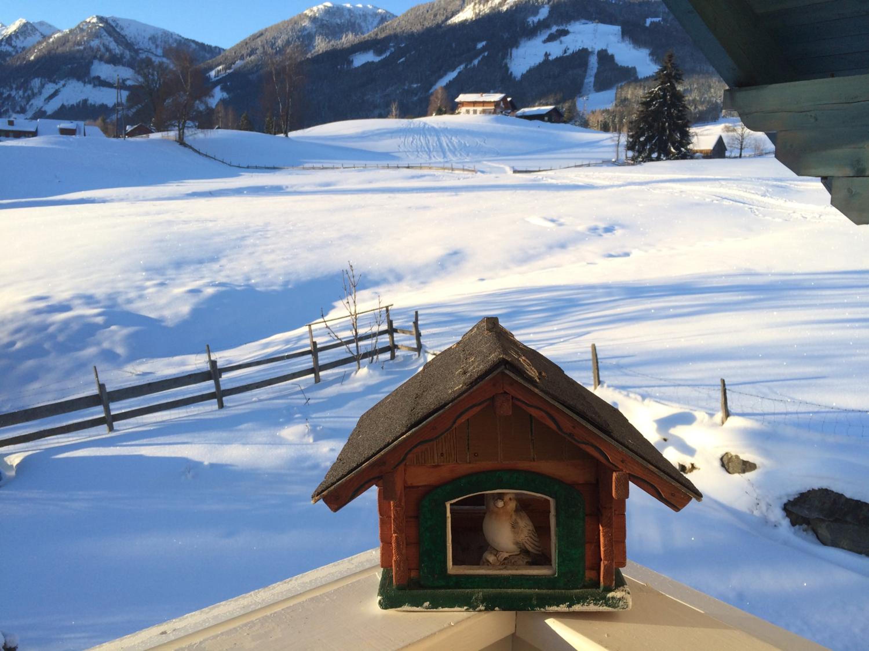 Appartement Alpenblume view 5