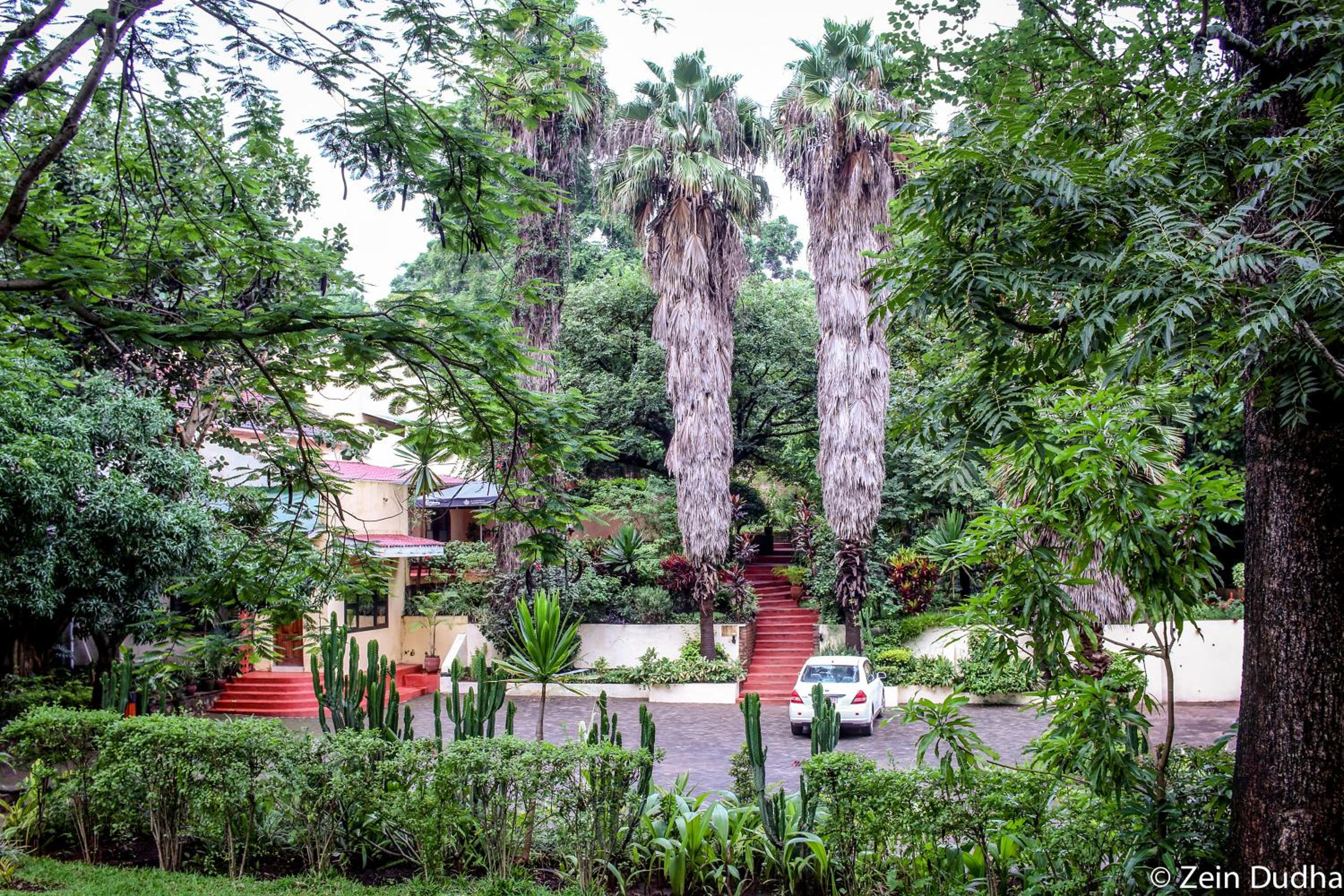 Villa 33