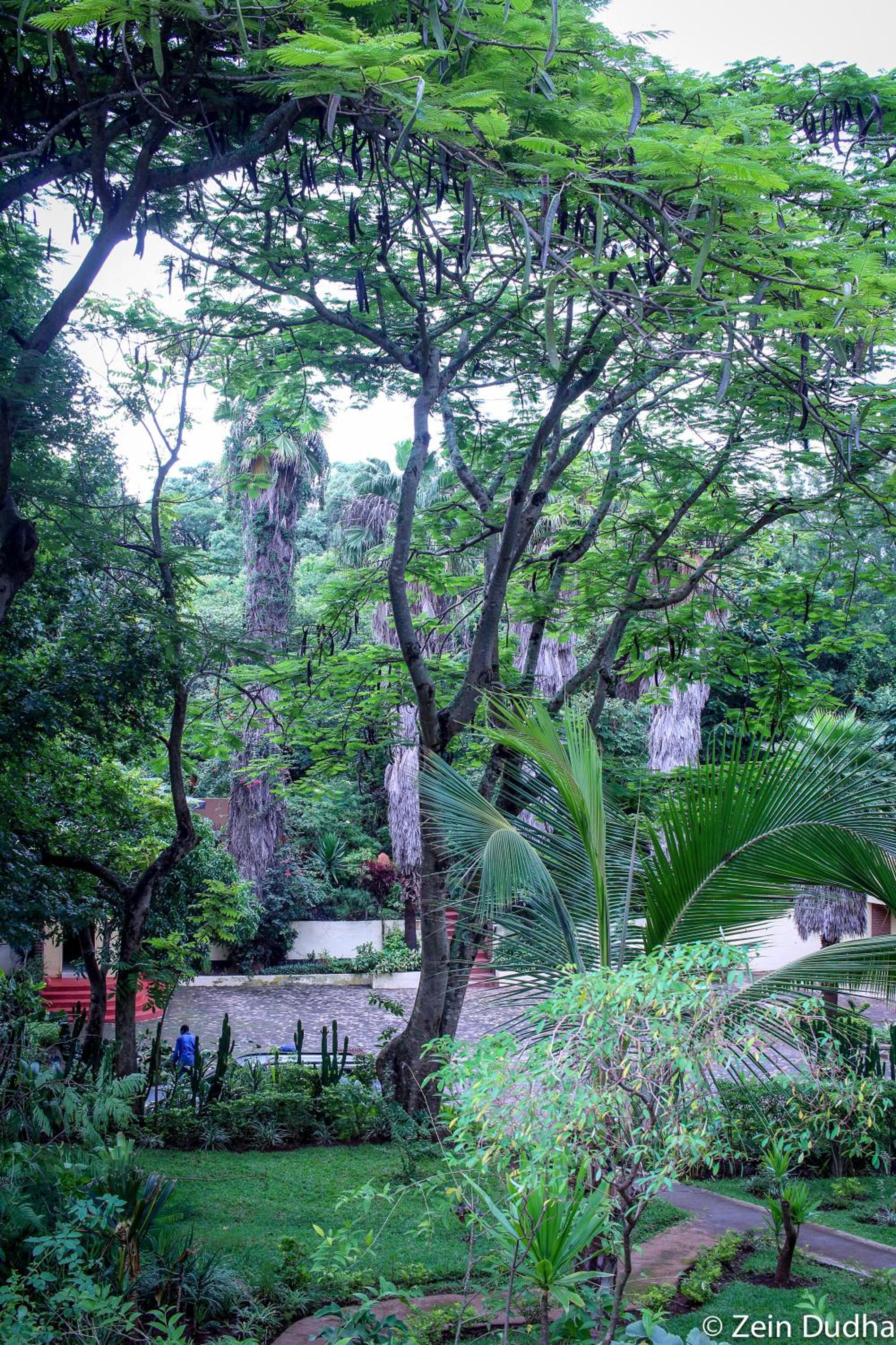 Villa 33