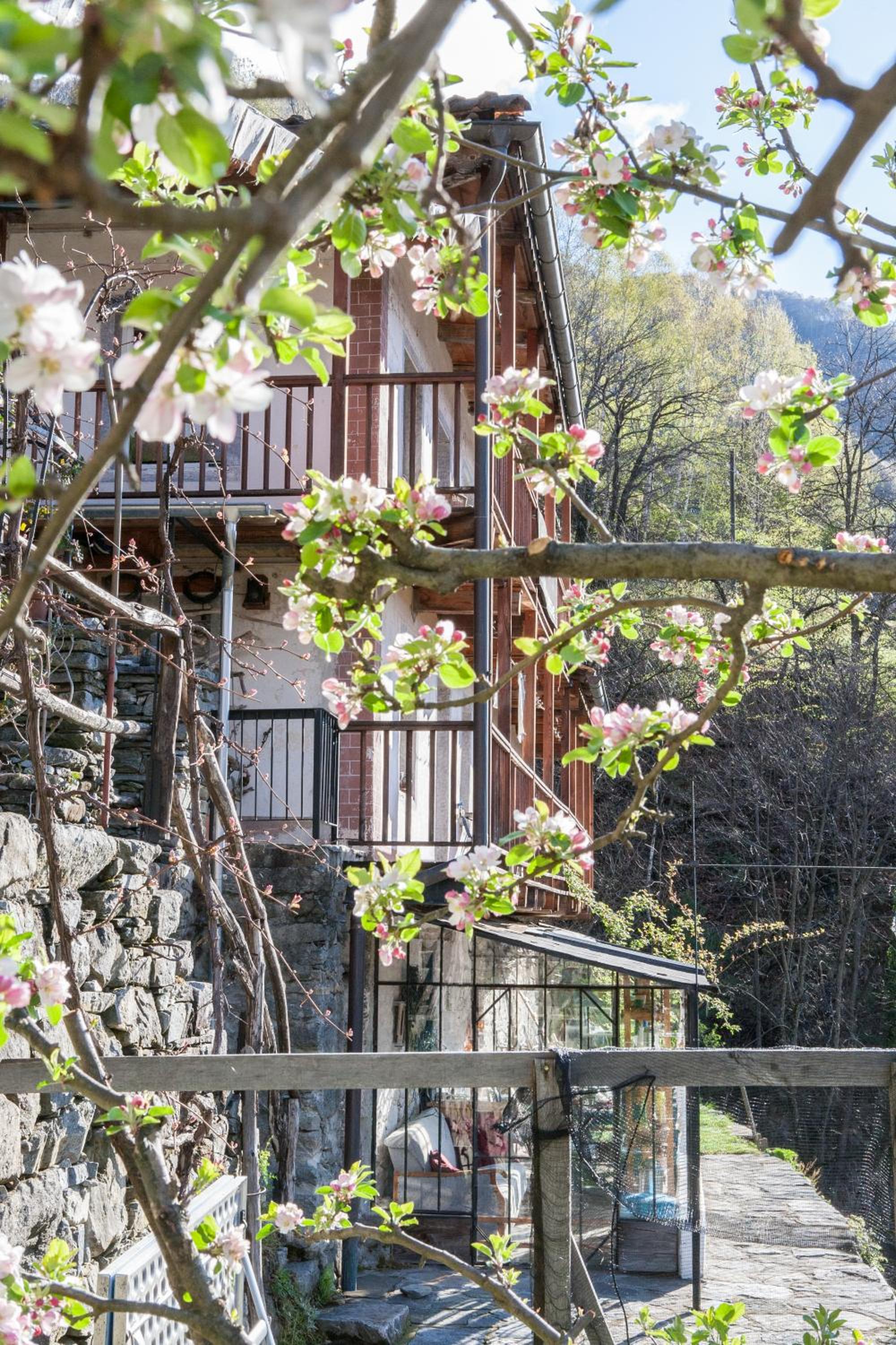 Bed and Breakfast da Toldo