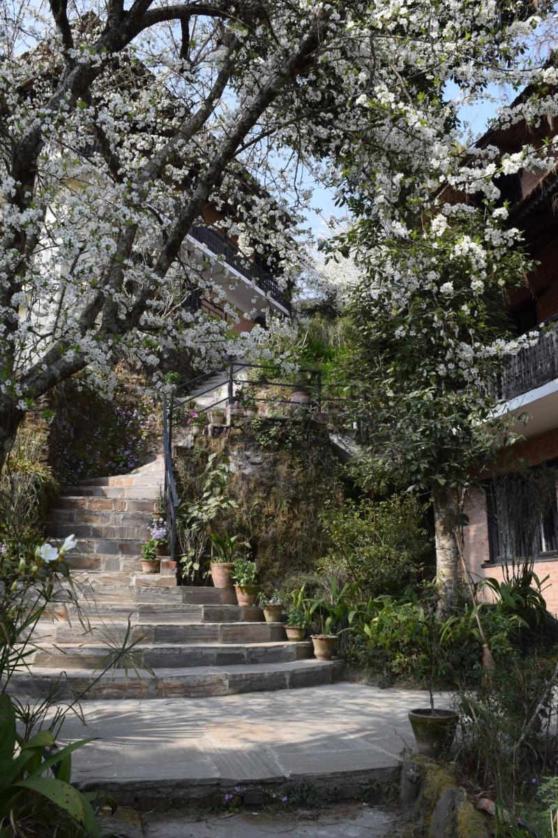 The Fort Resort
