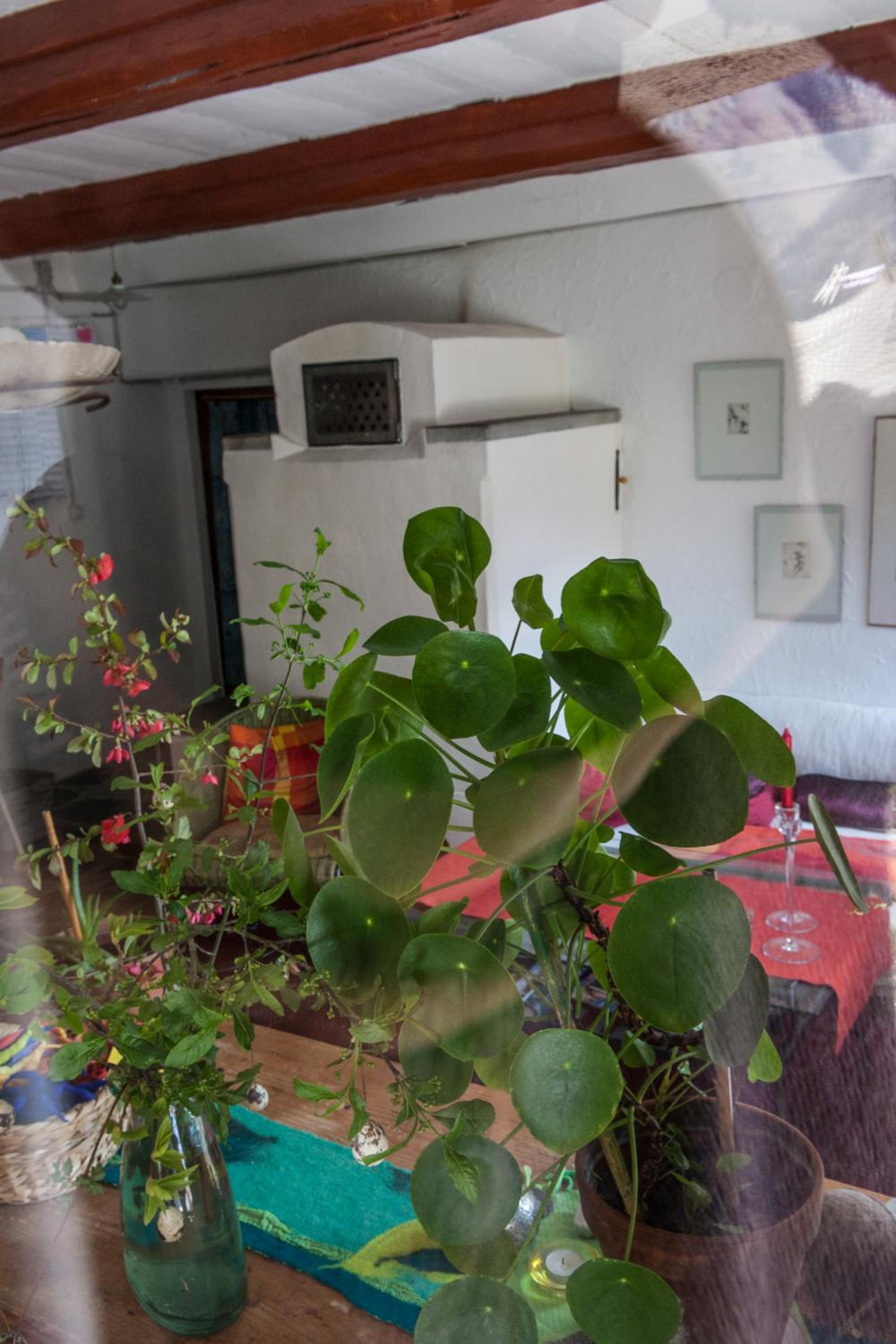 Bed and Breakfast da Toldo