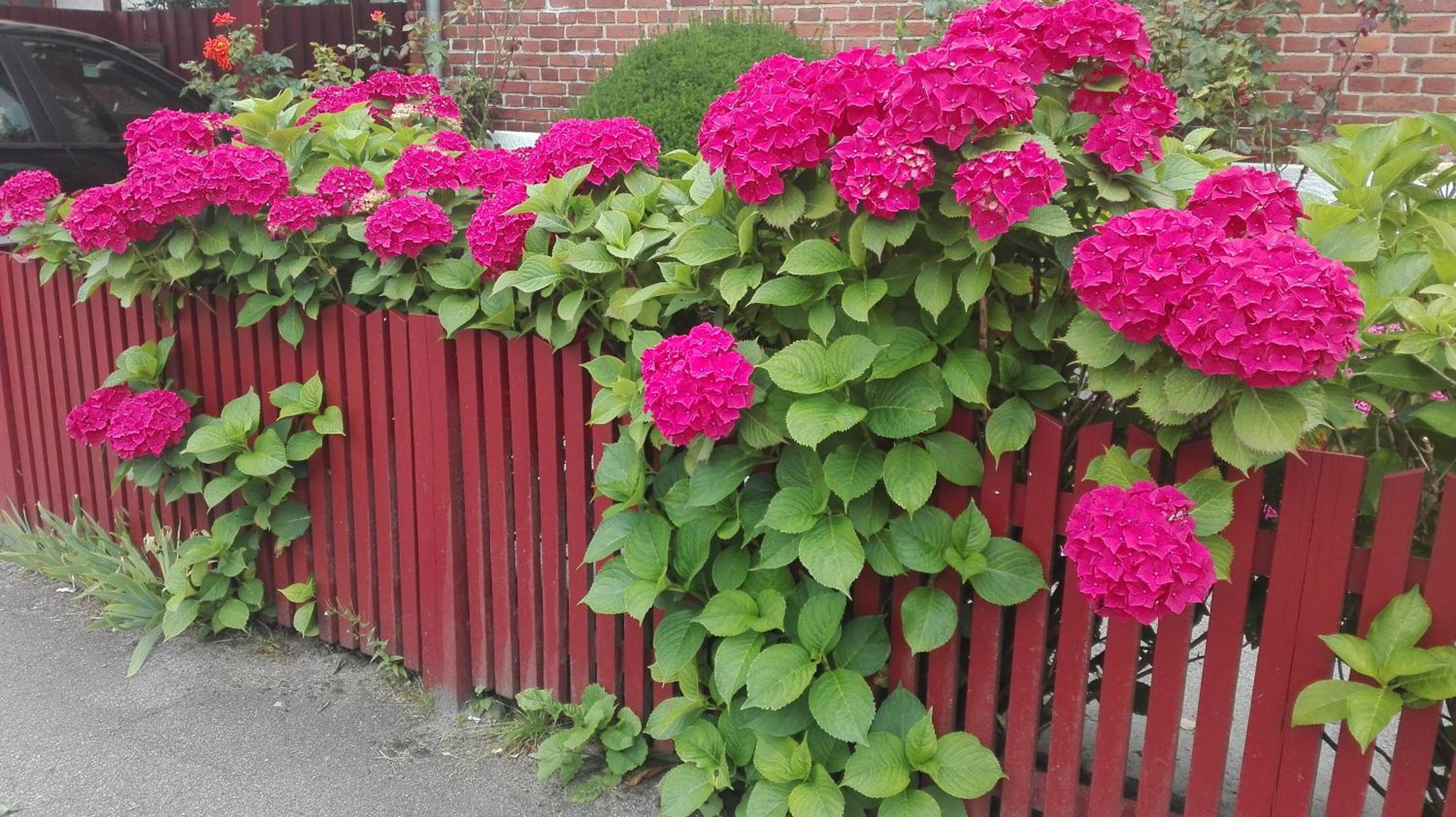 Photo 22