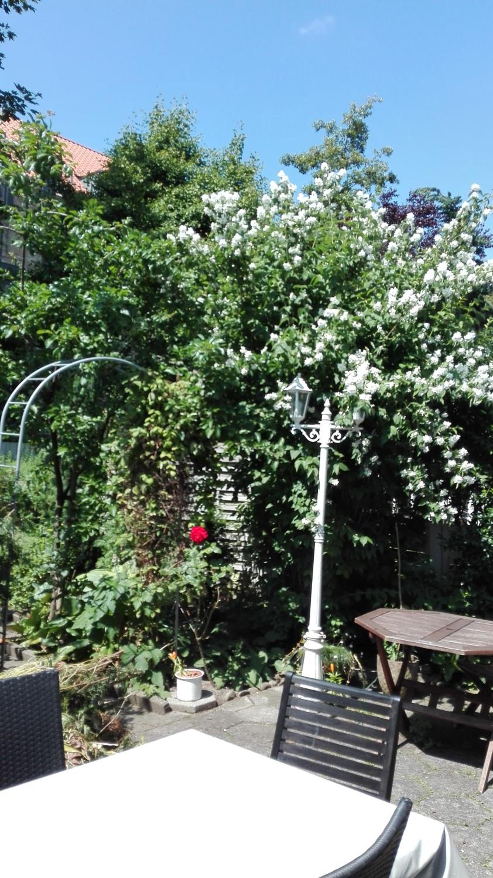 Photo 32