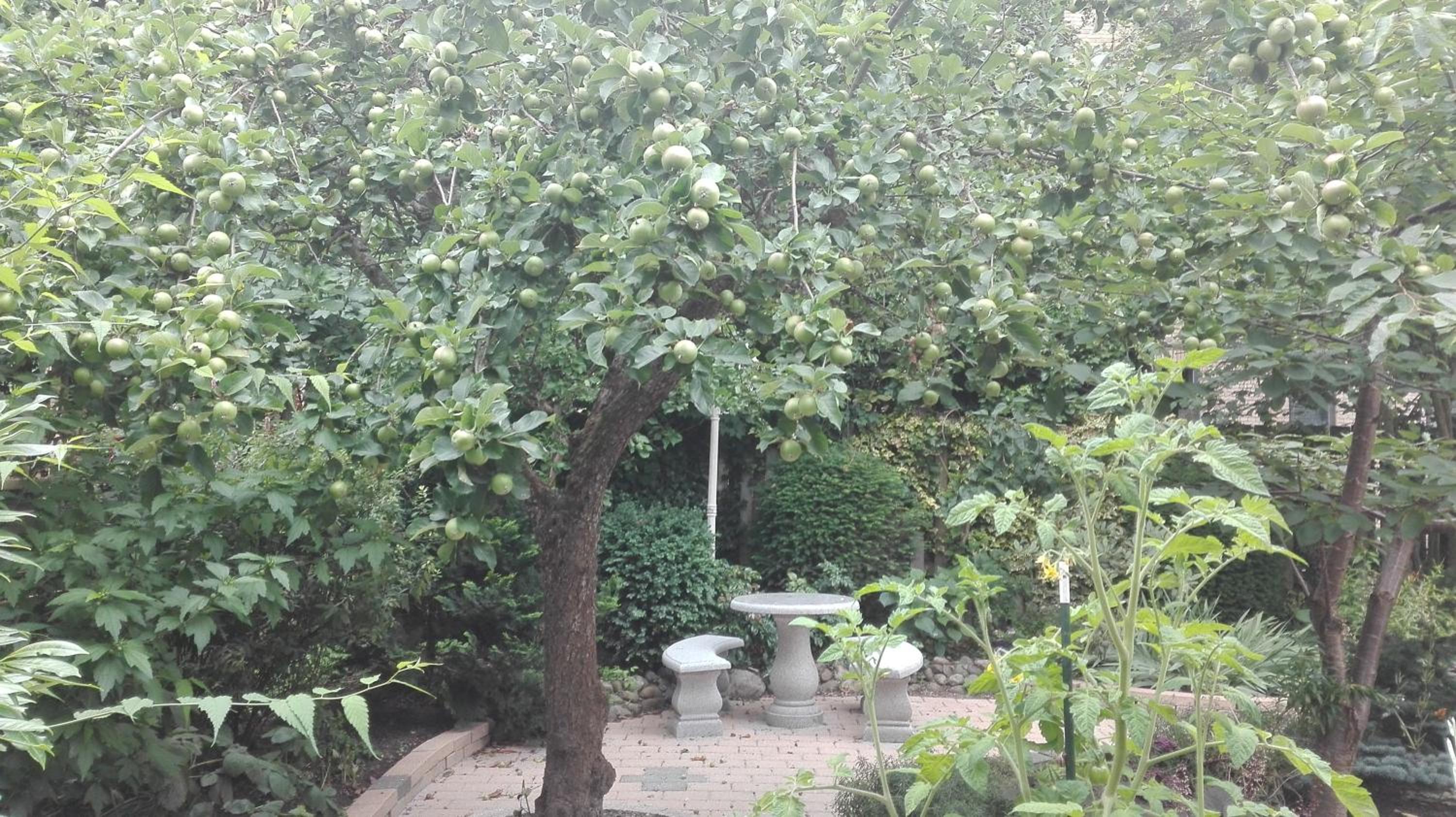 Photo 31