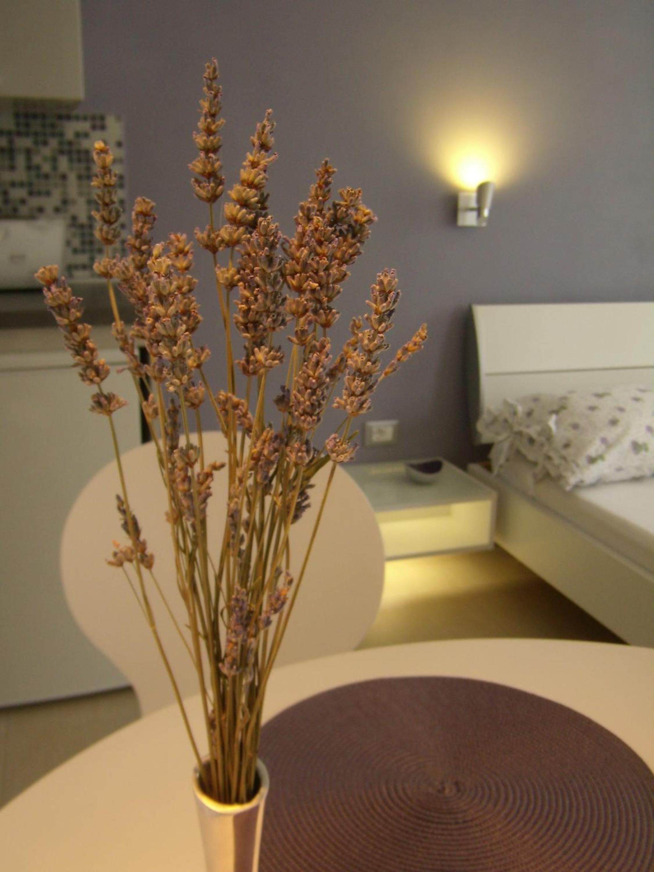 Studio Apartment Lavender view 4