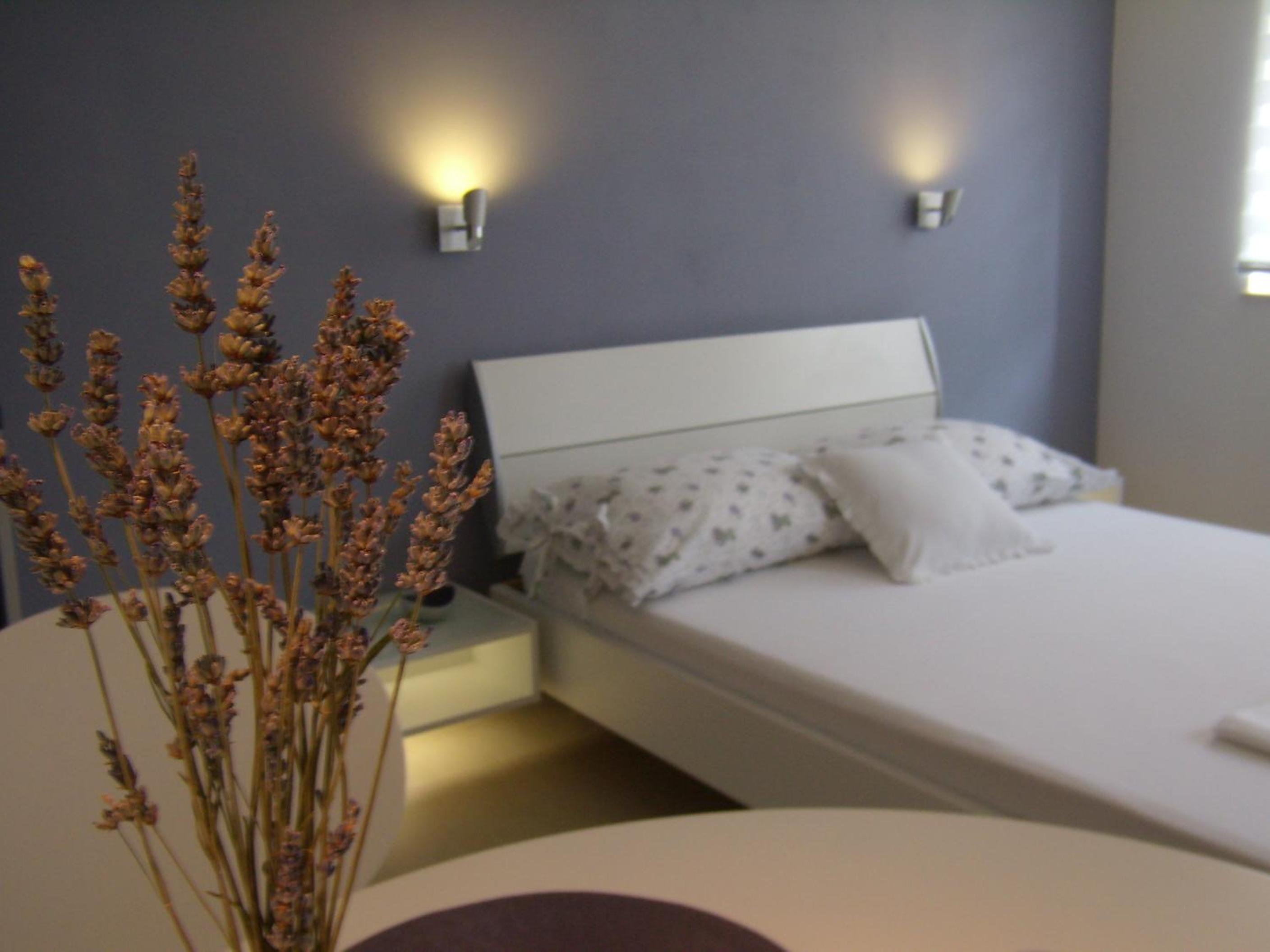 Studio Apartment Lavender view 5