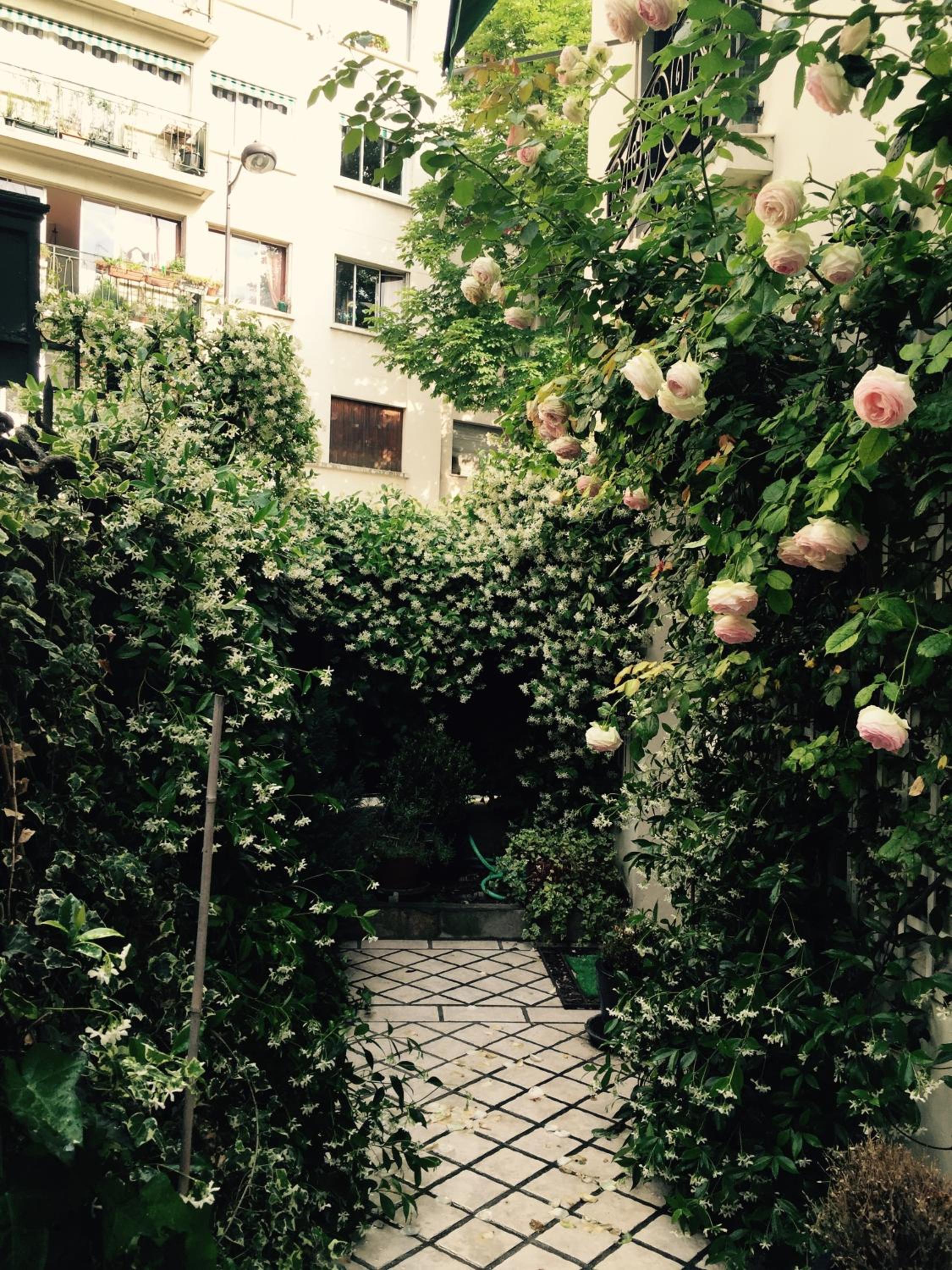 1 Square du Docteur Blanche - Paris 16
