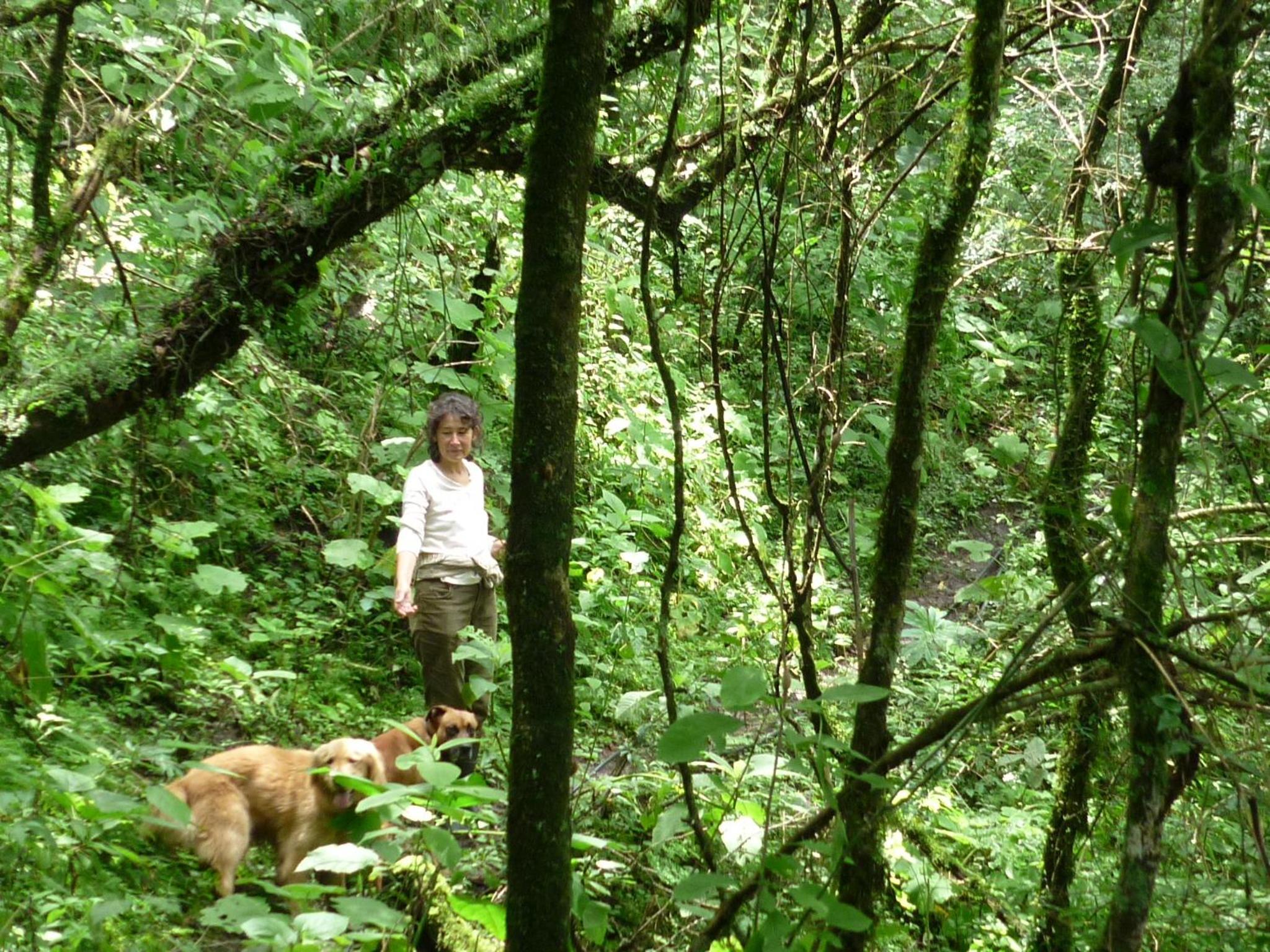 Finca La Colorada