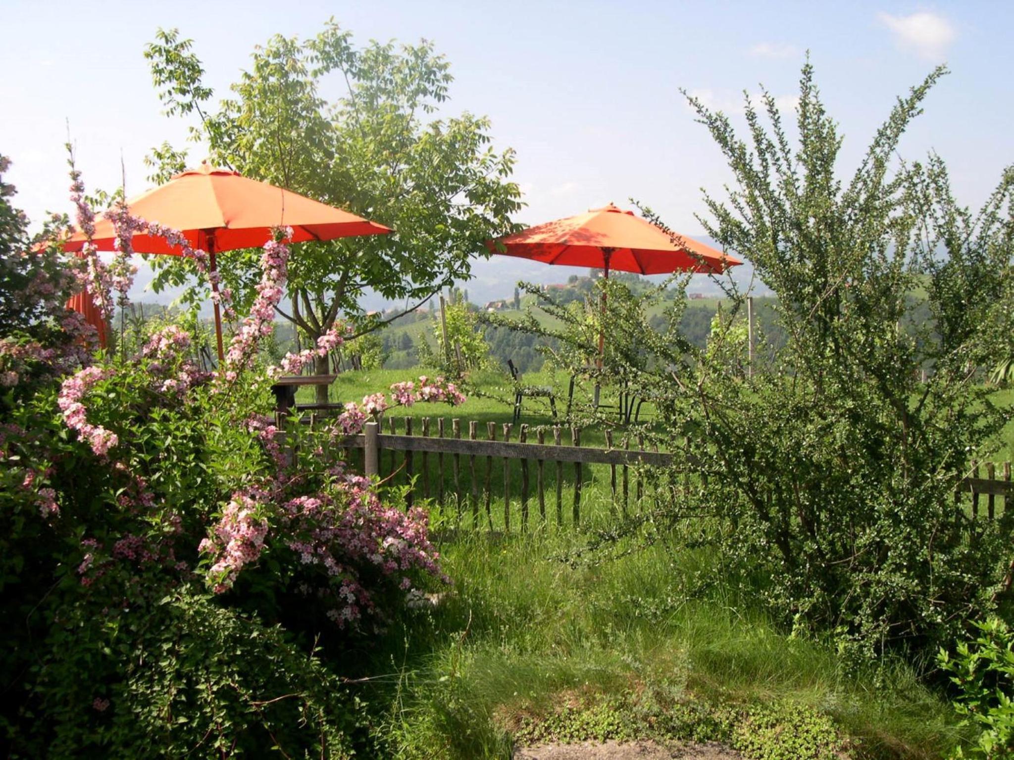 Kultur Weingut Kästenburg