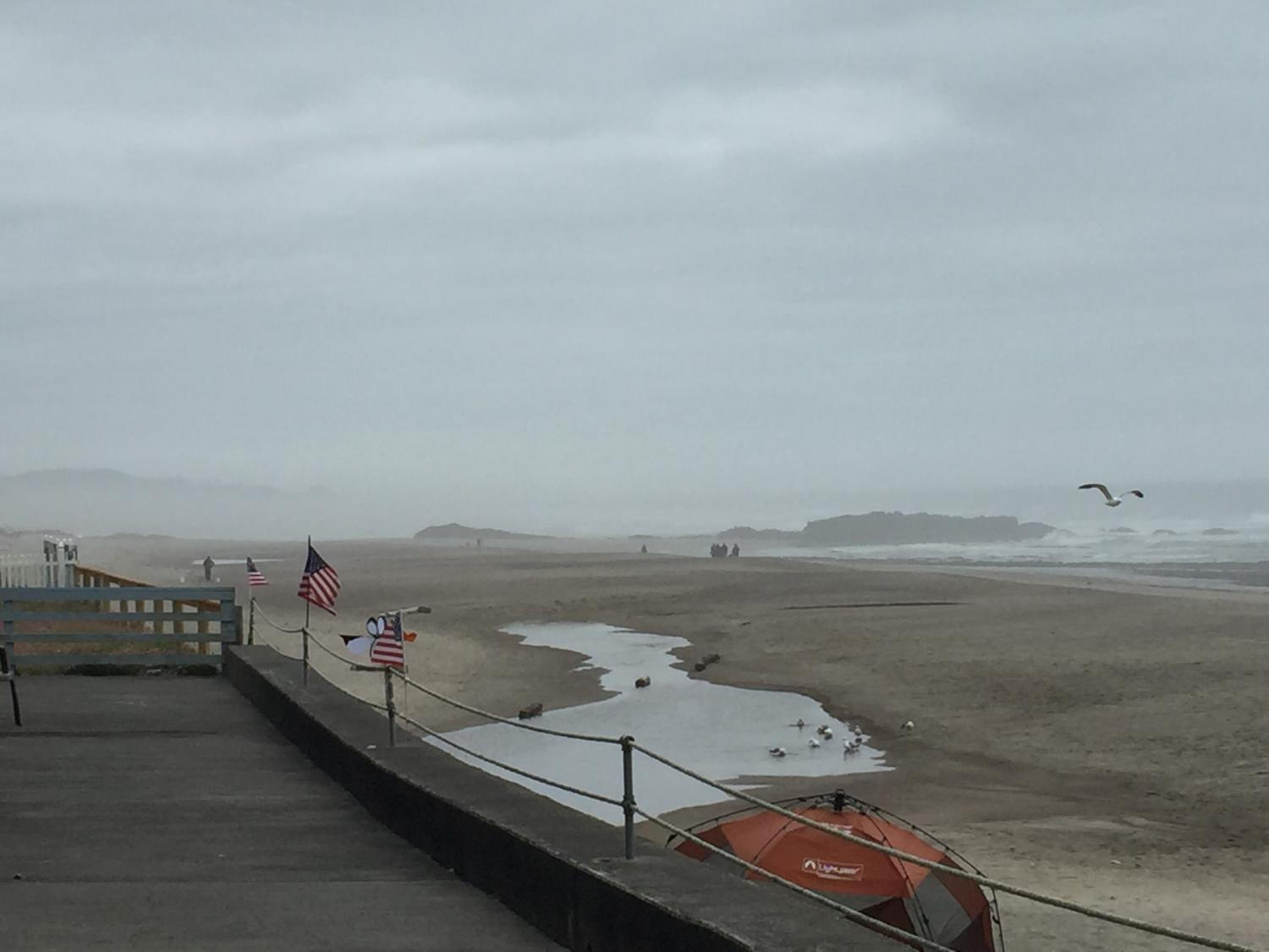 The Sandcastle Beachfront Hotel