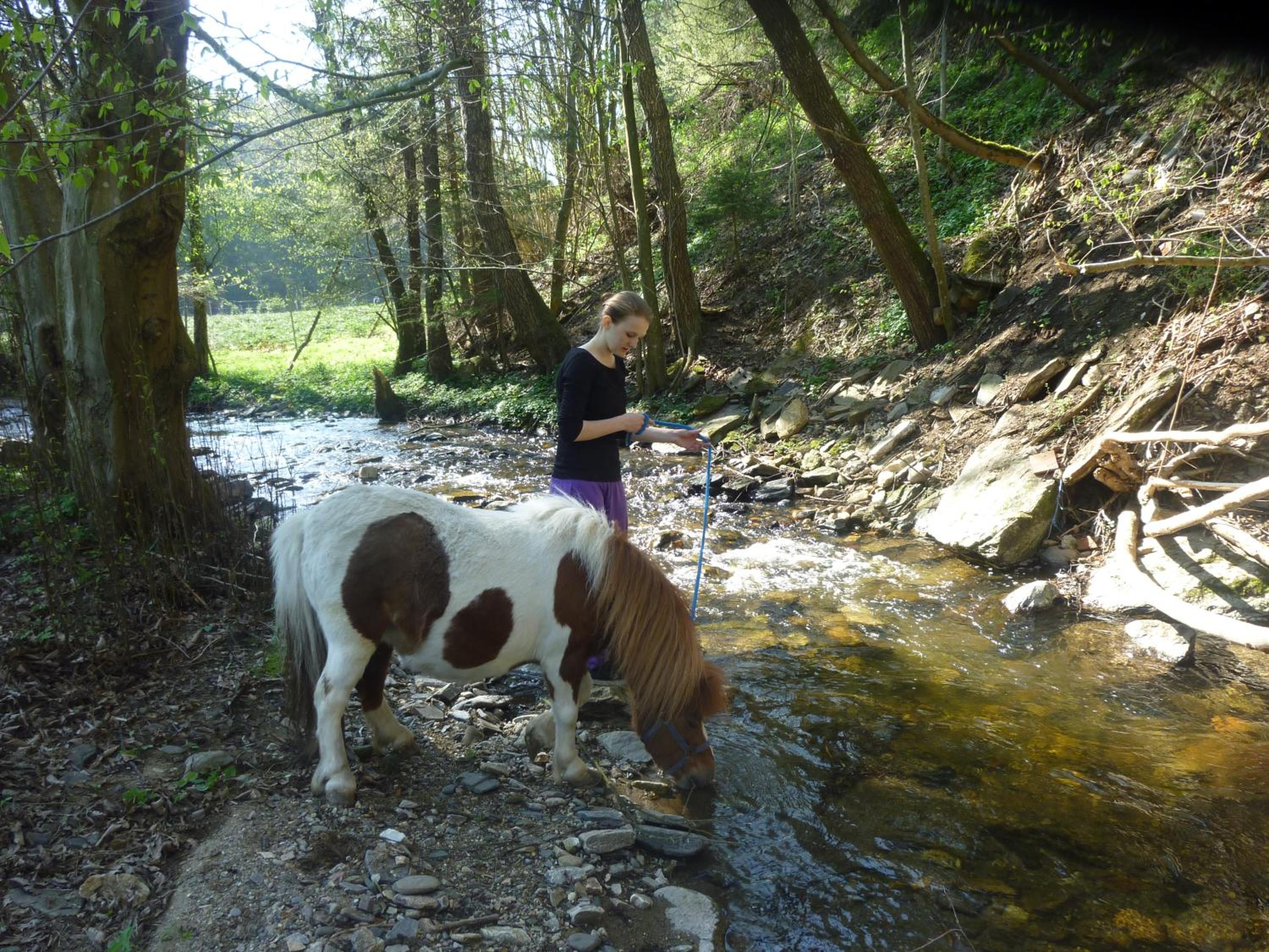 Photo 49
