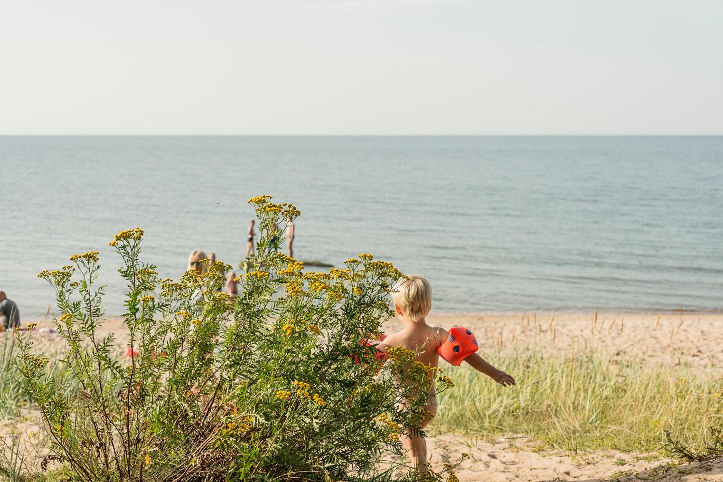 Adami Country Guesthouse