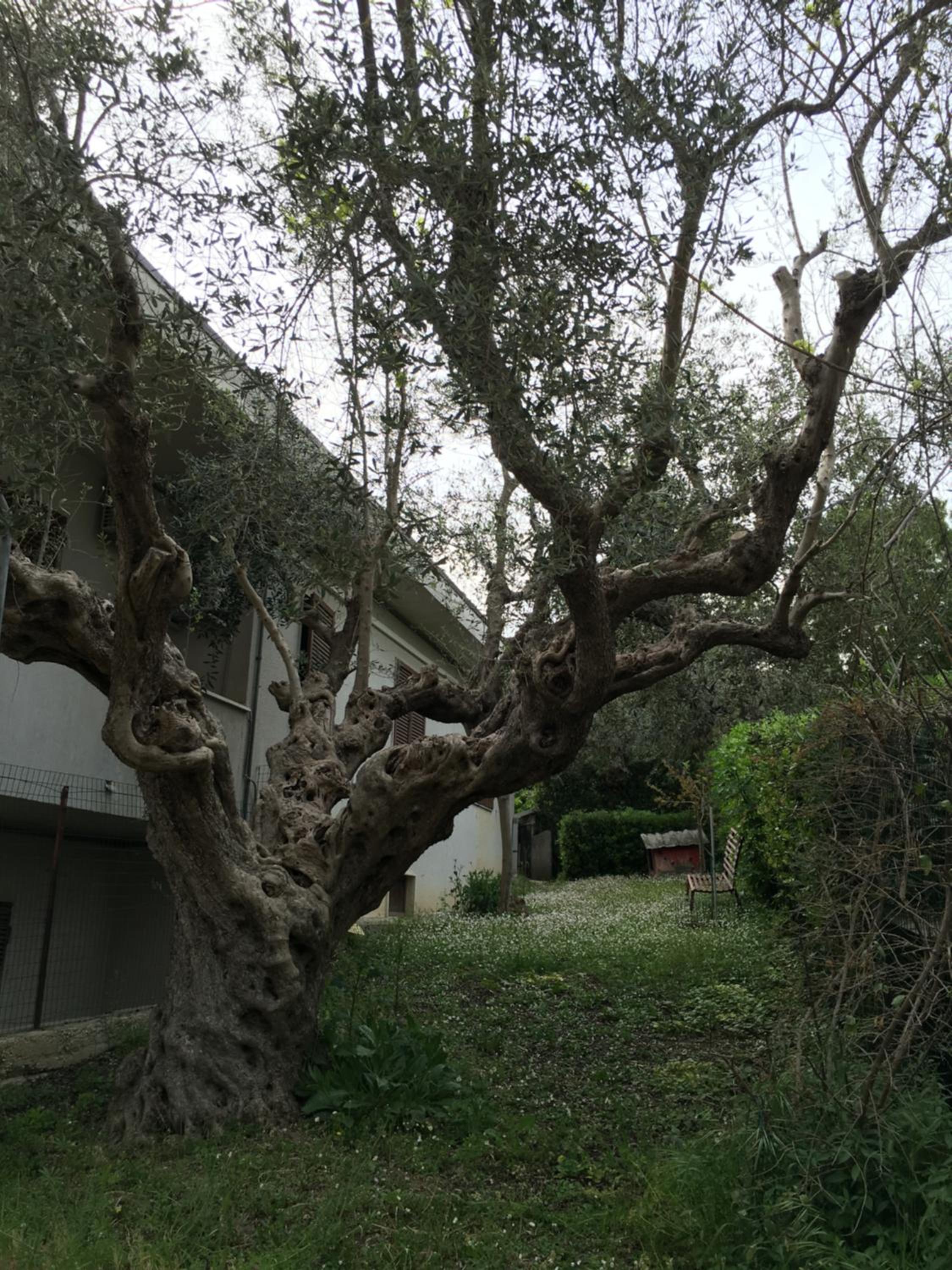 Le sorelle gemelle B&B