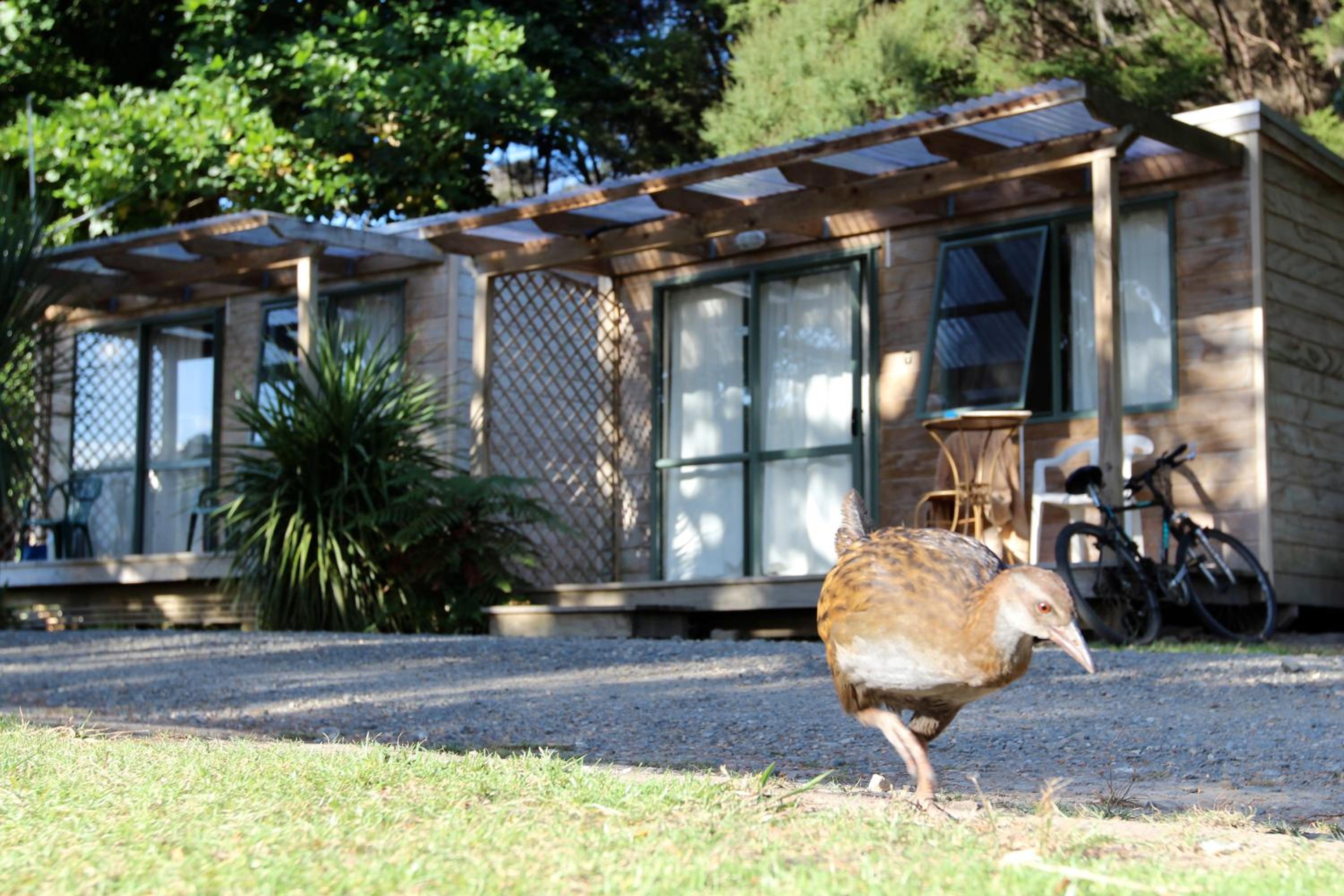 Russell-Orongo Bay Holiday Park