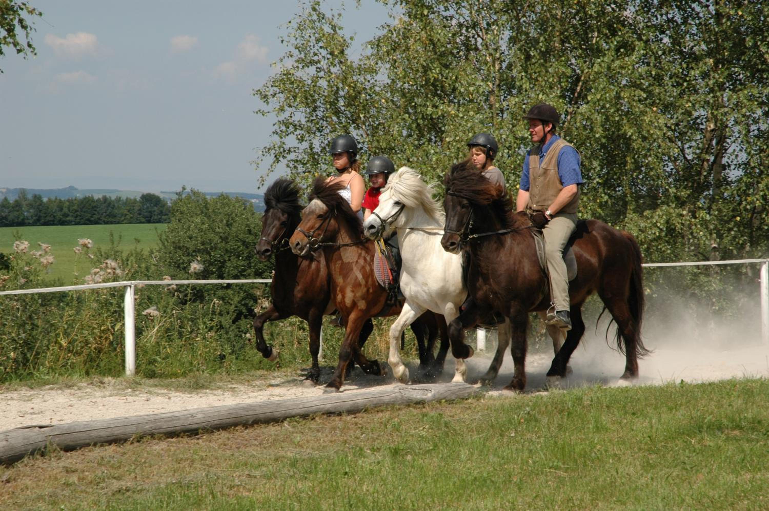 Landgasthof zur Linde Laaben