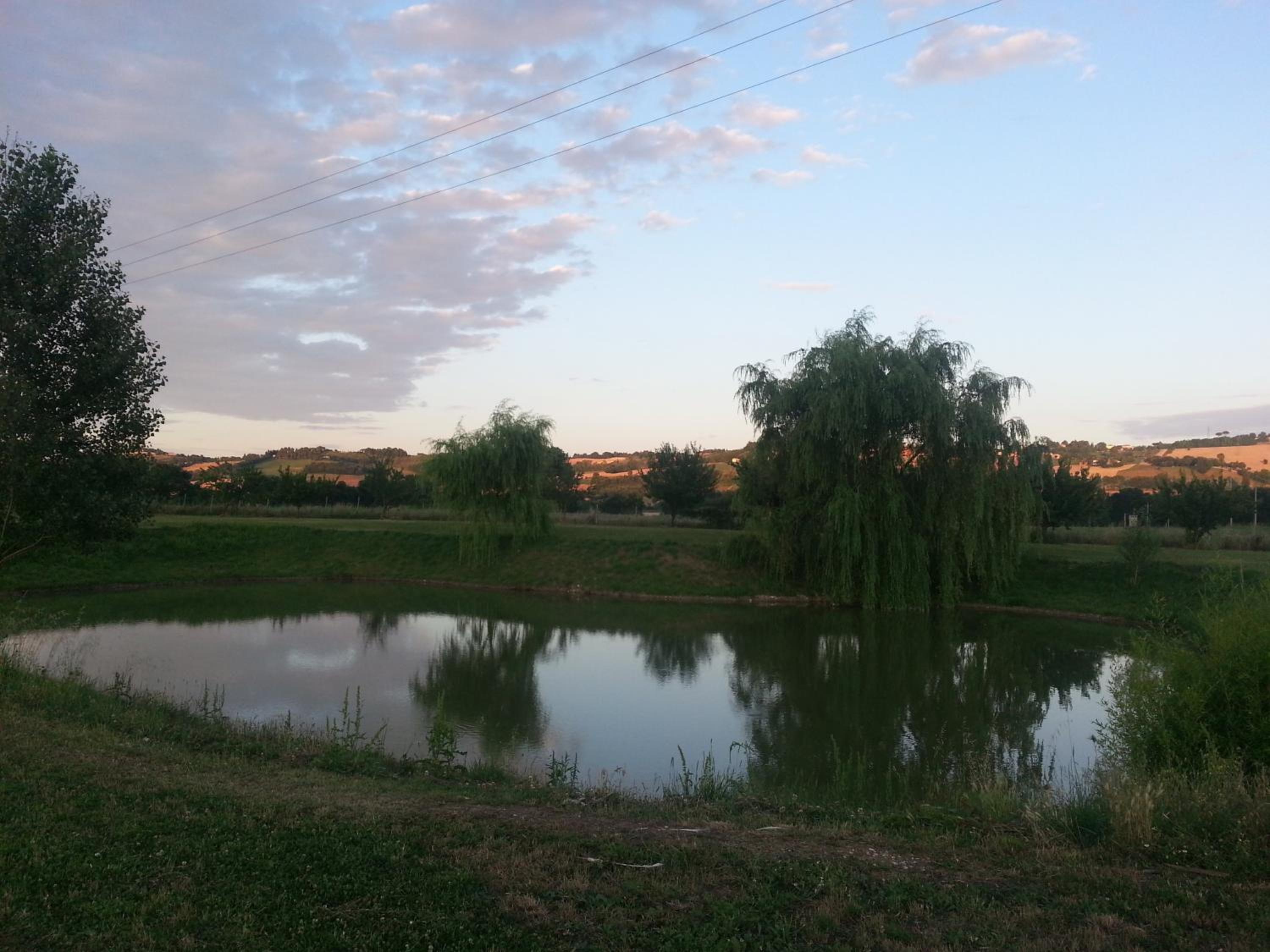 Photo 26