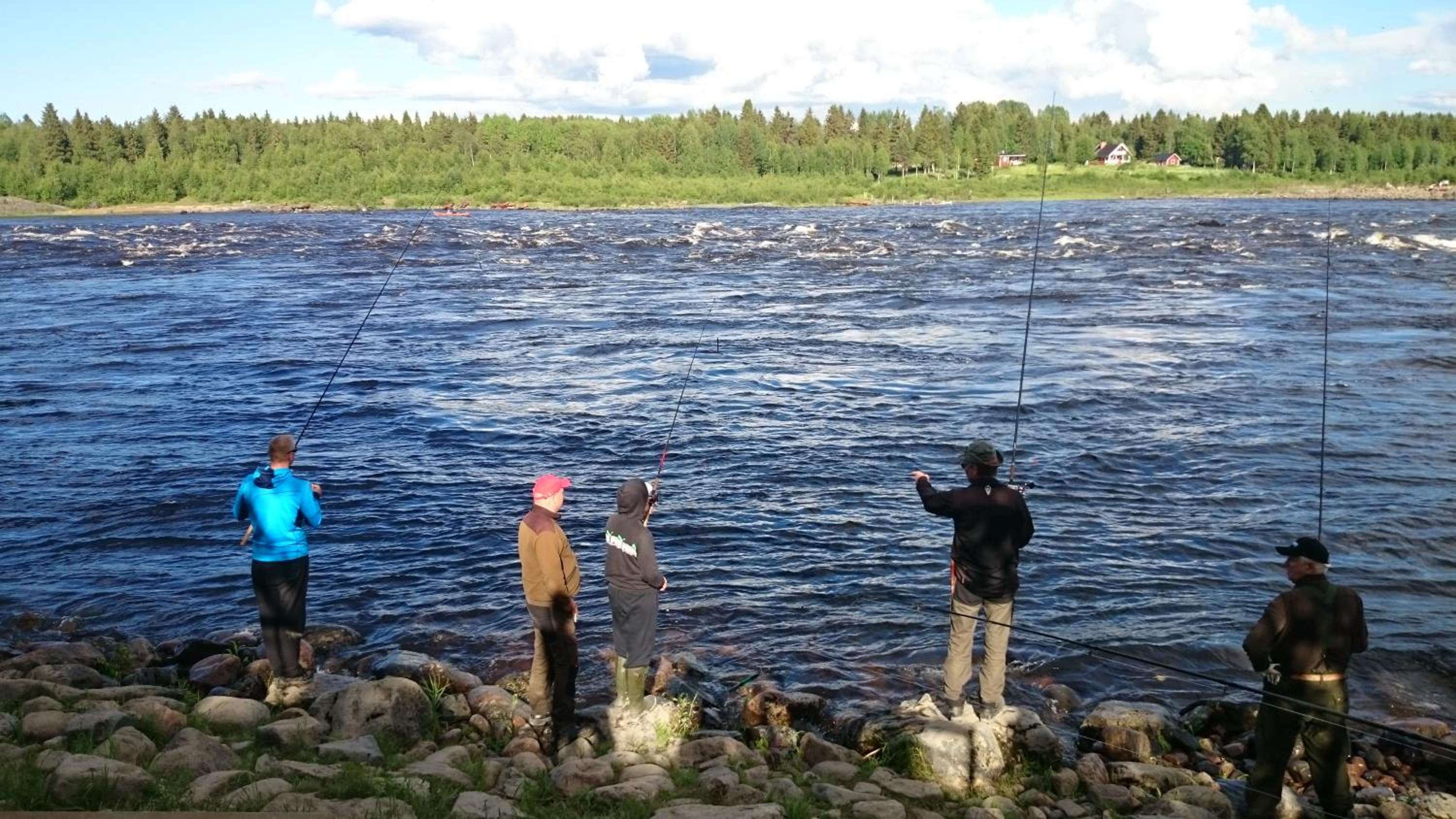 Photo 41