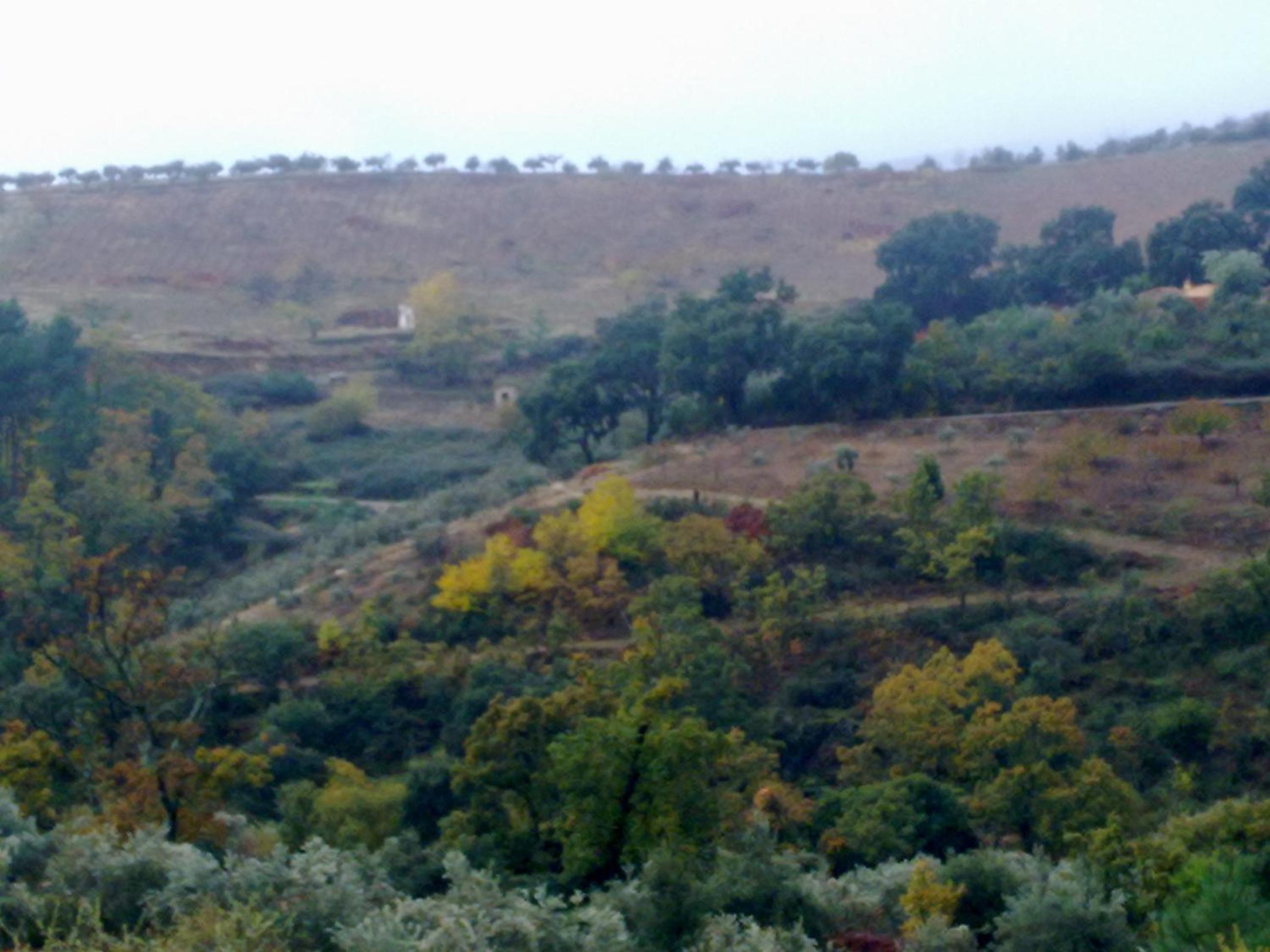 Apartamentos Rurales Candela view 2