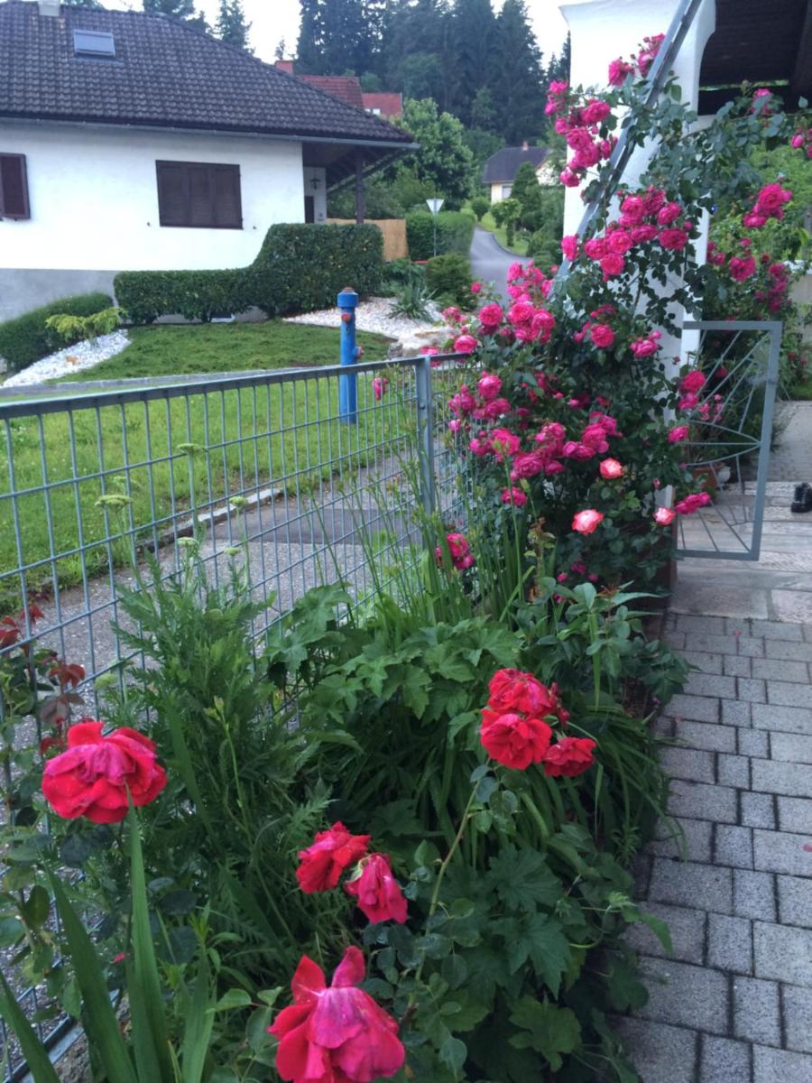 Villa Nusswald view 5