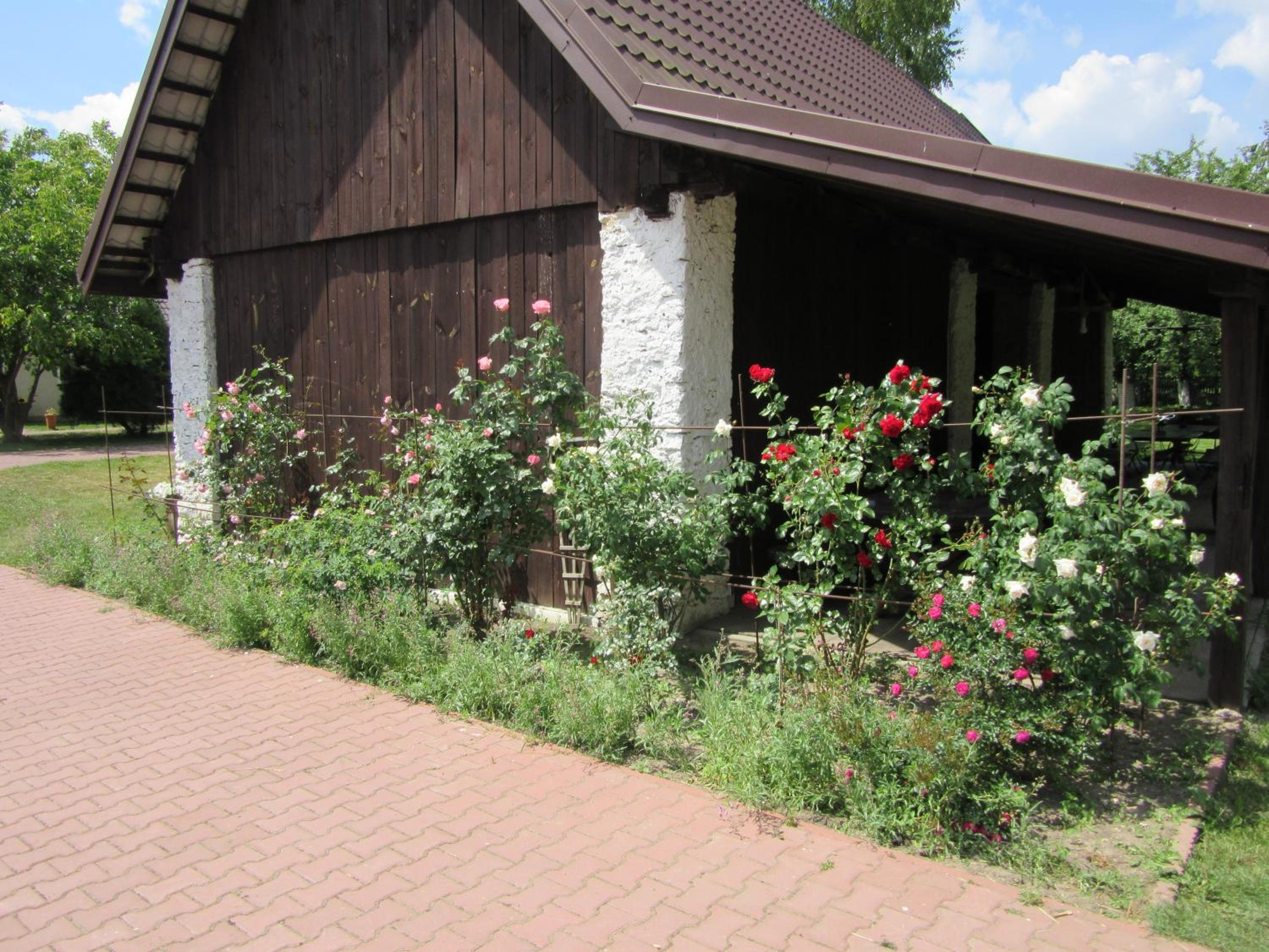 Photo 19