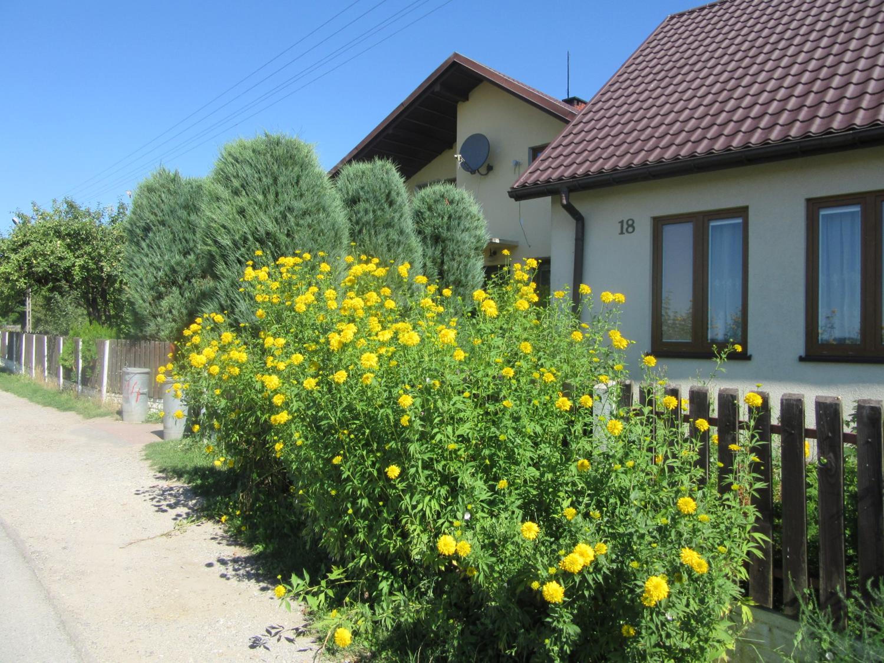 Photo 14