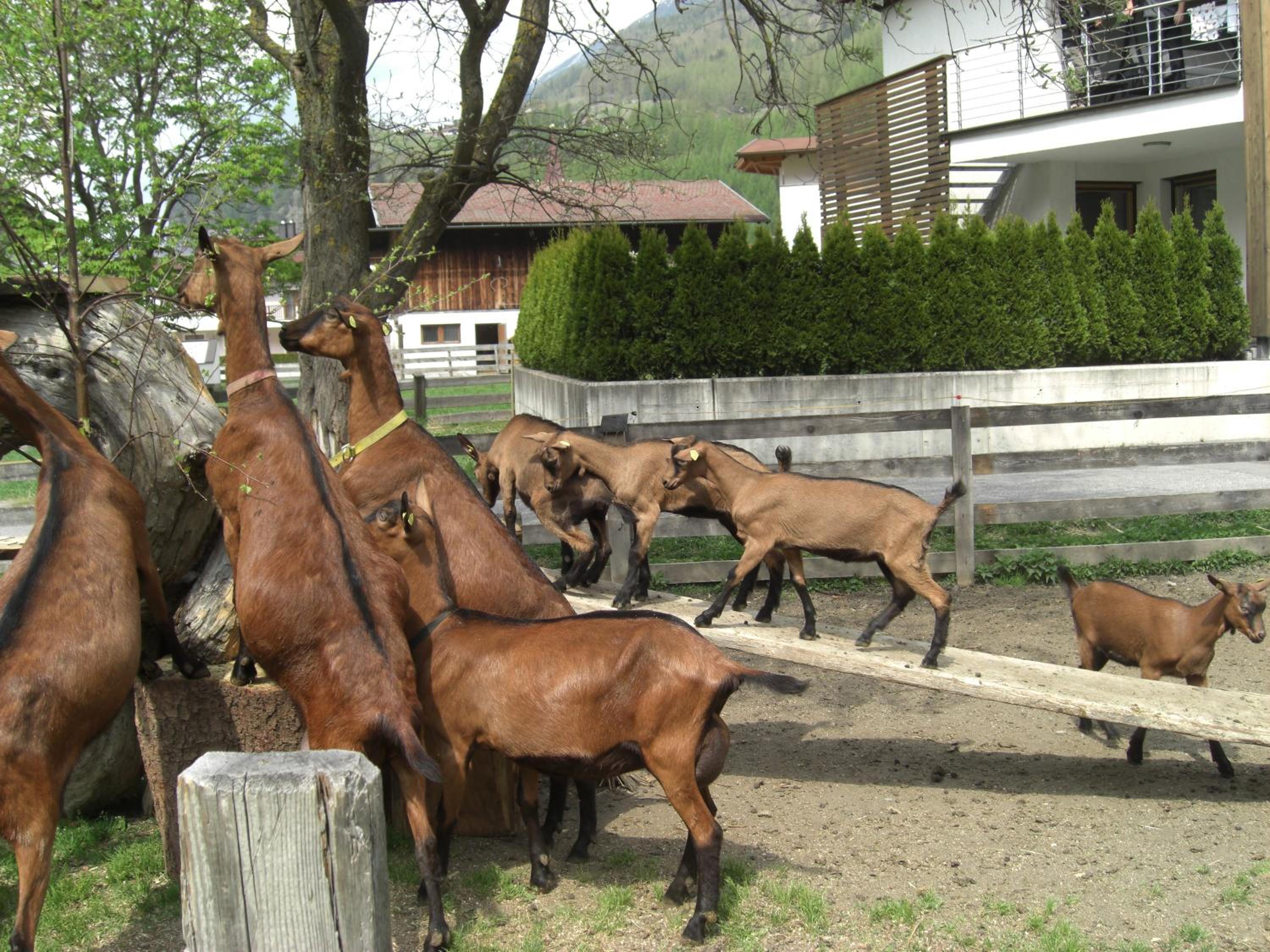 Bauernhof Kuen