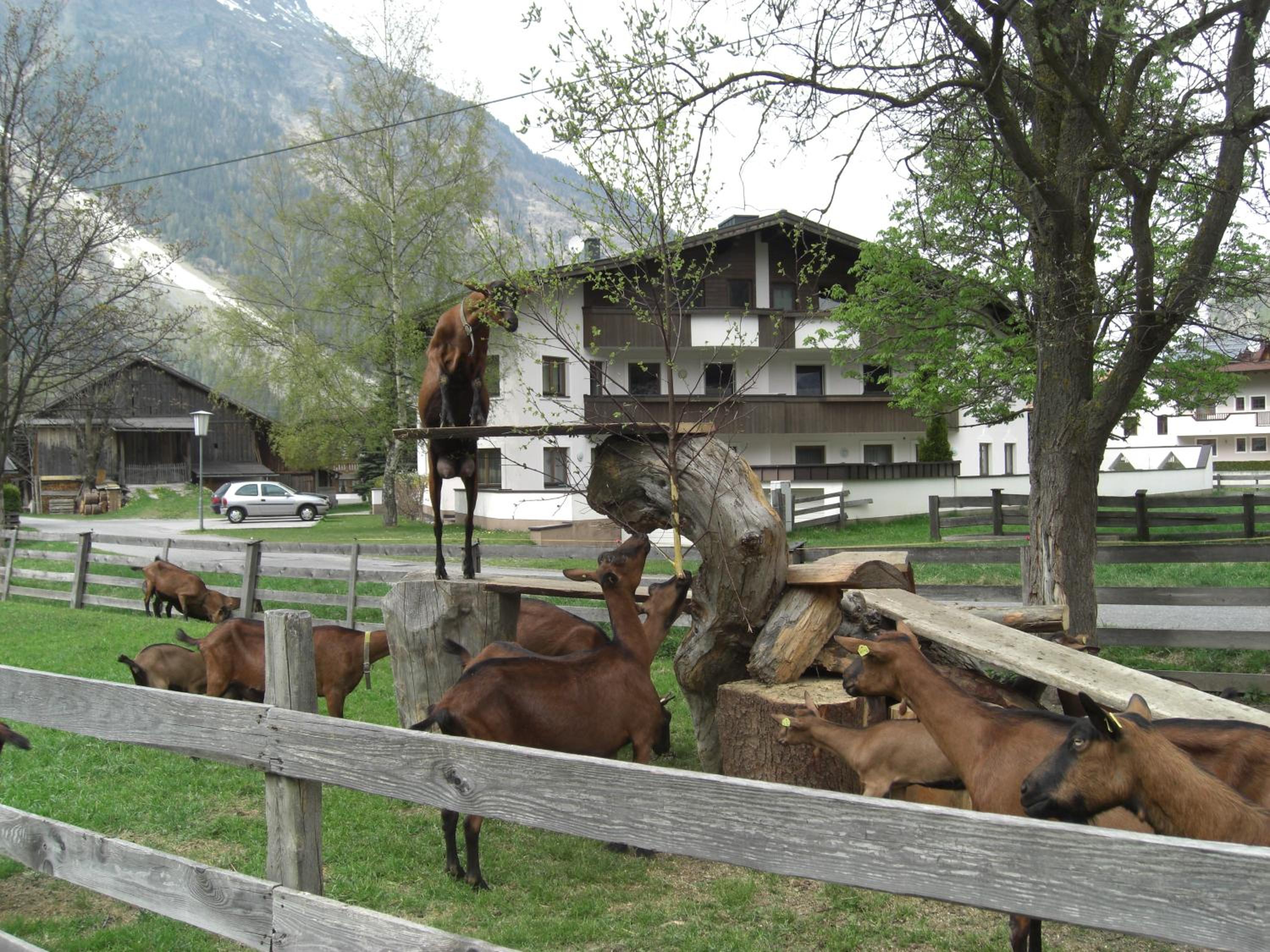 Bauernhof Kuen